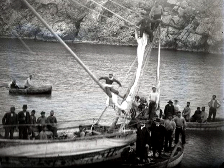 The divers' boat at the site