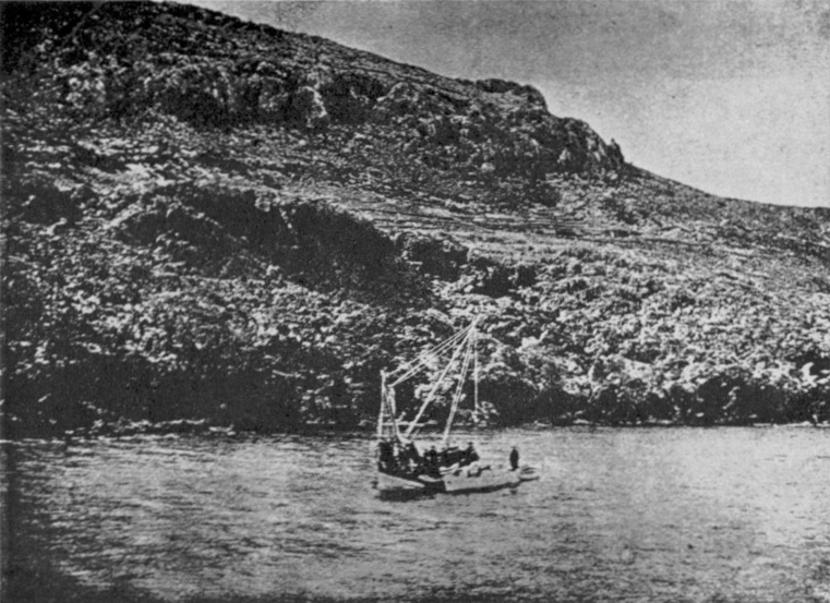 The site