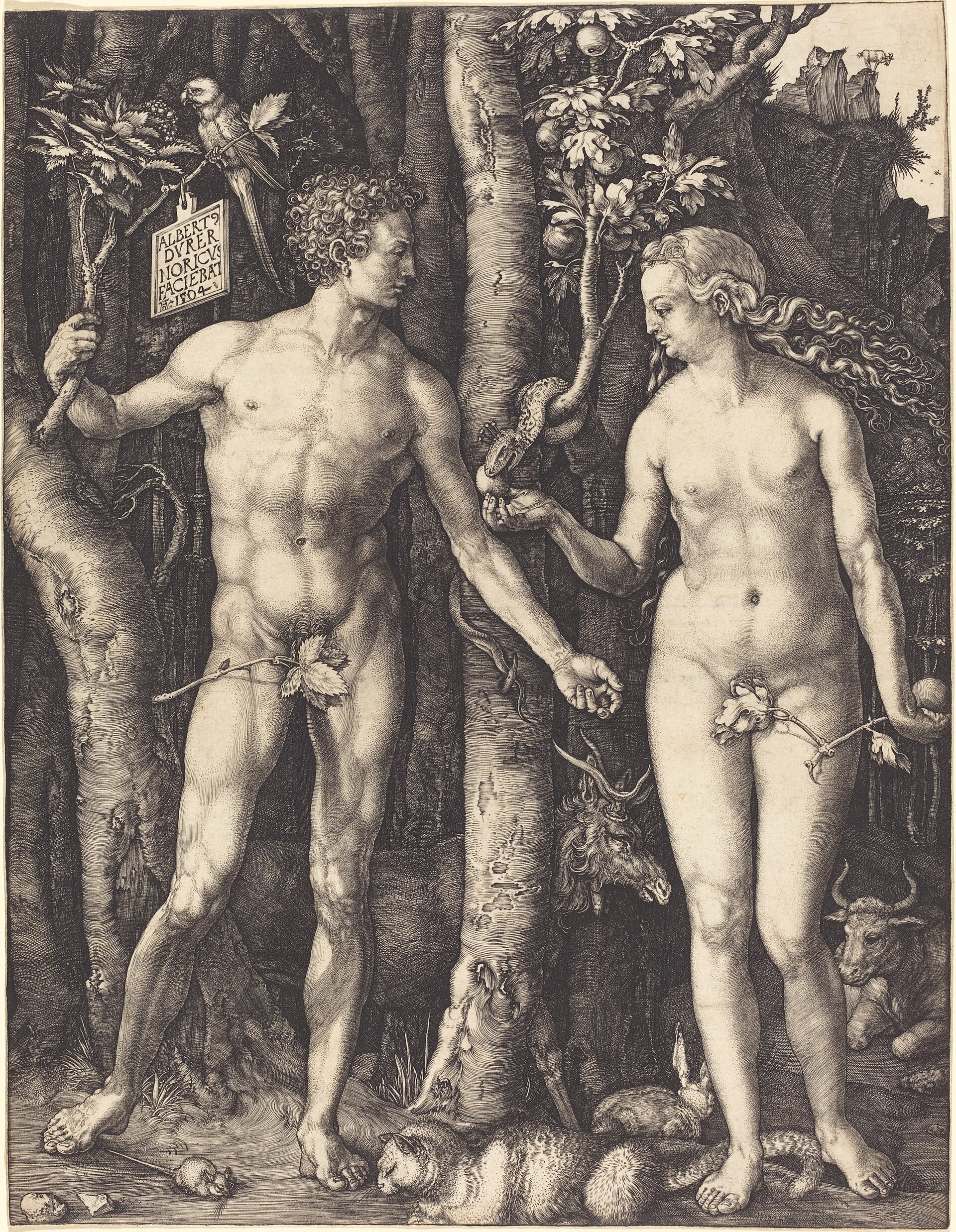Adam and Eve, 1504