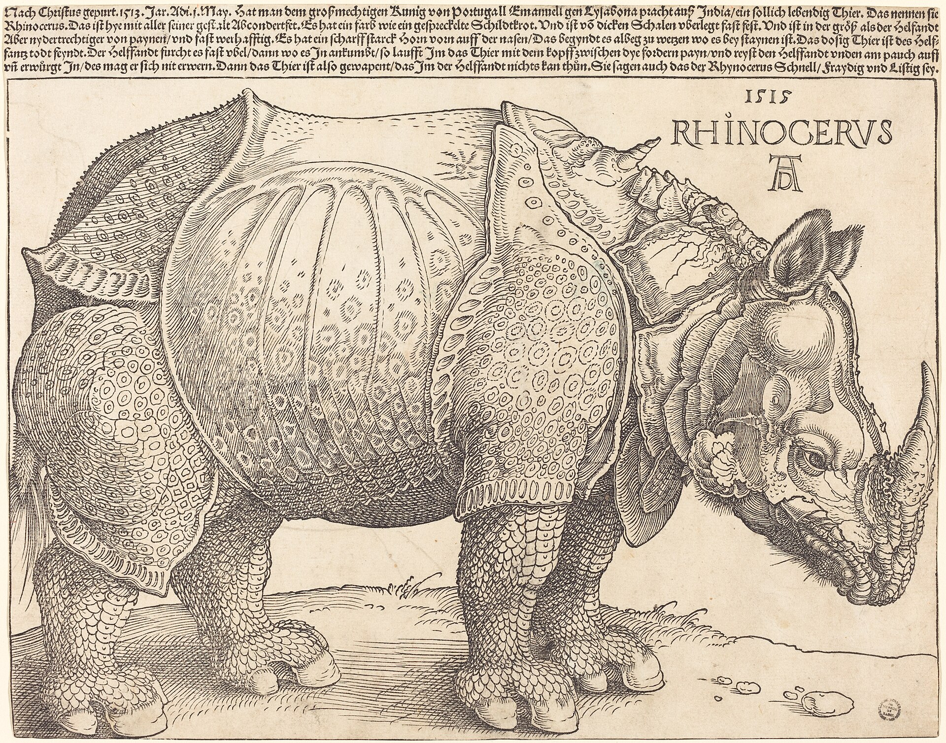 The Rhinoceros, 1515: the record holder