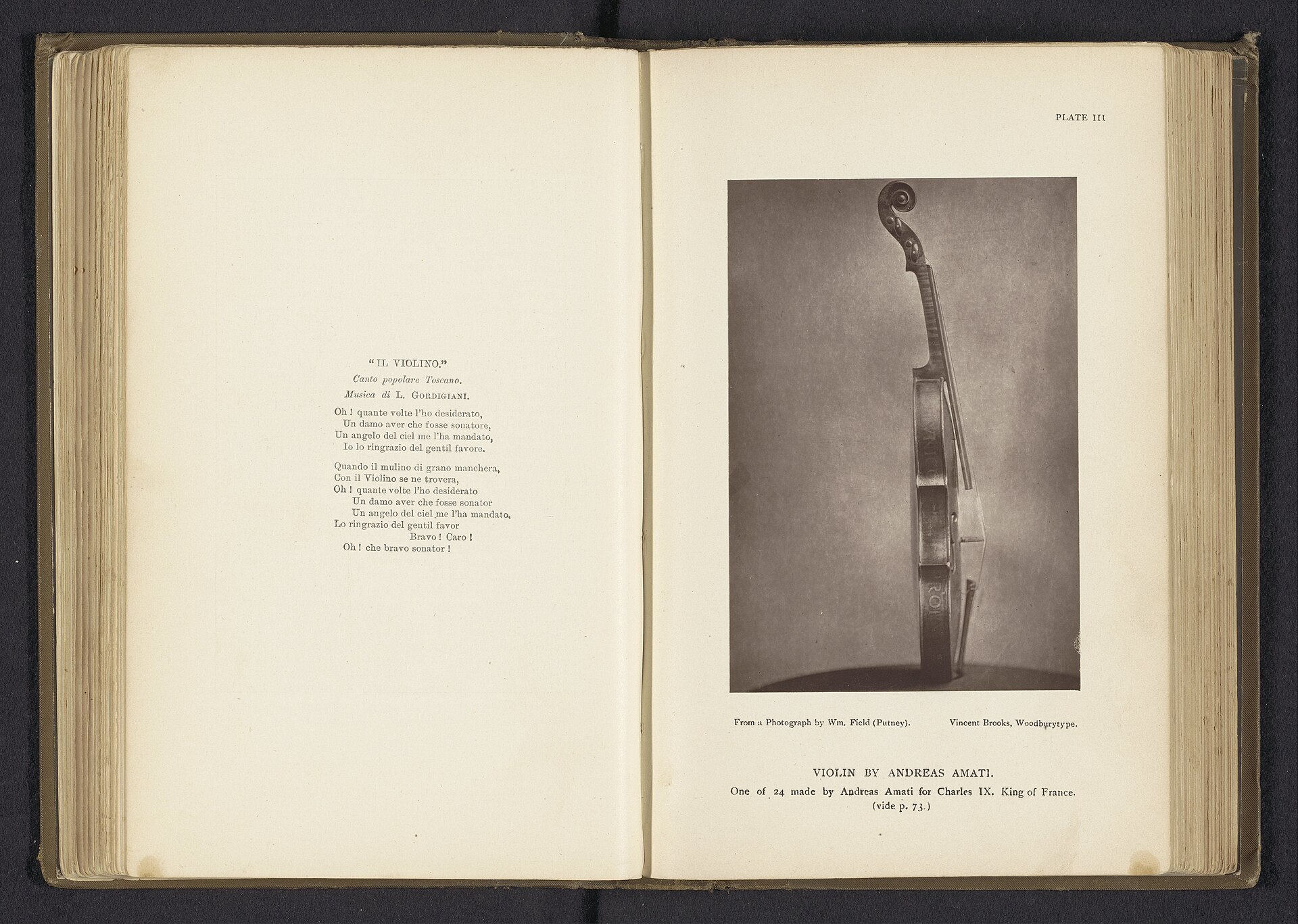 The same Charles IX group violin, side view