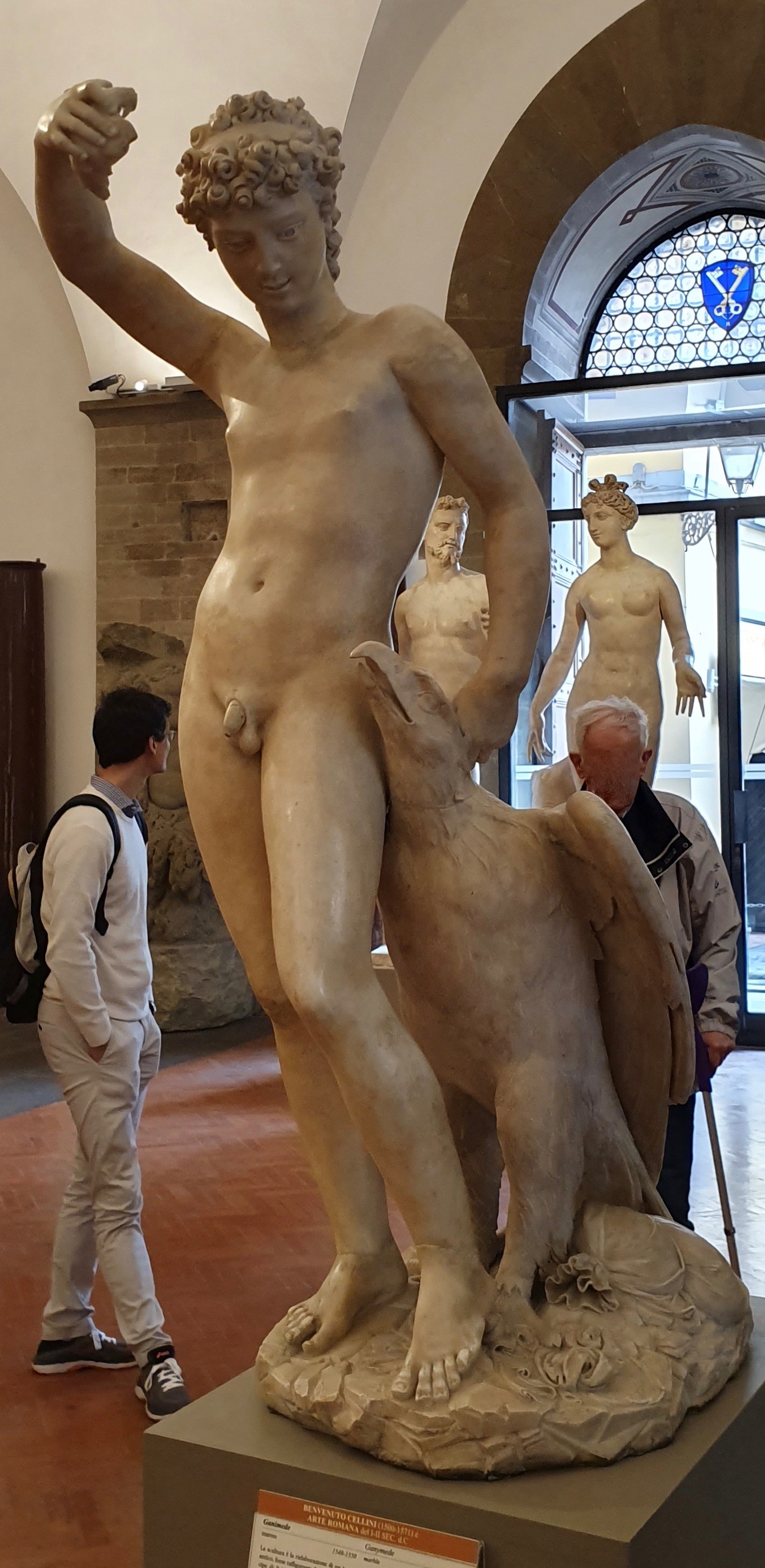 Ganymede with the Eagle