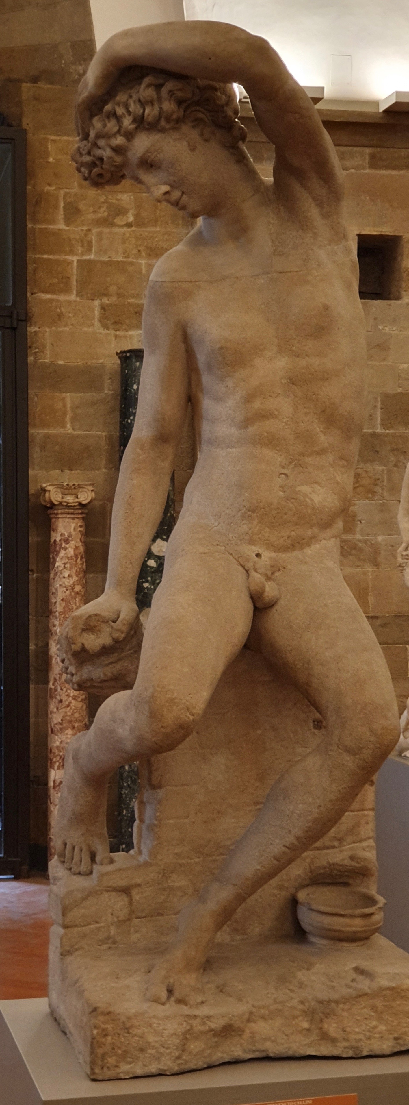 Narcissus