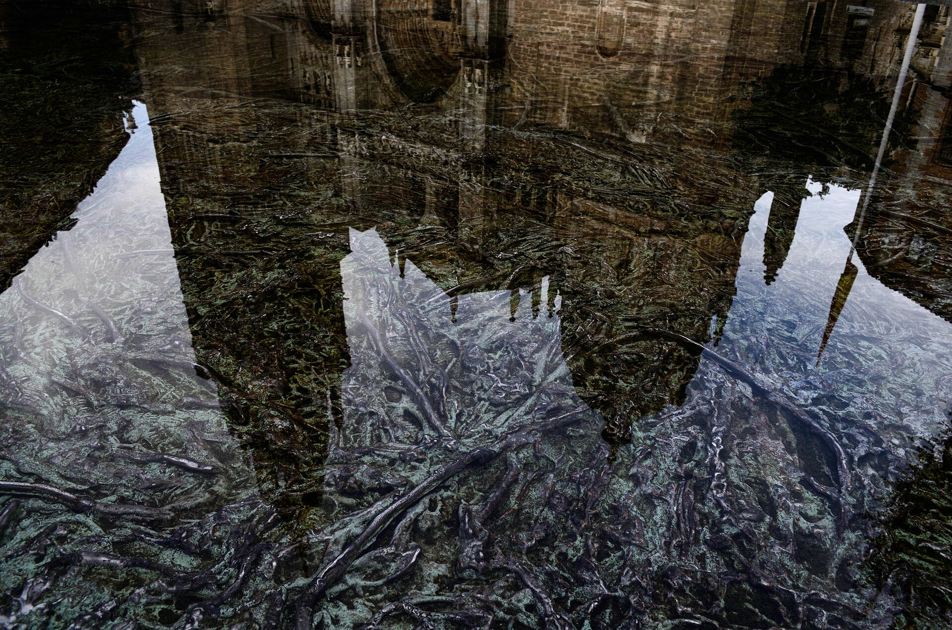 Tres Aguas, second view of the cathedral reflection