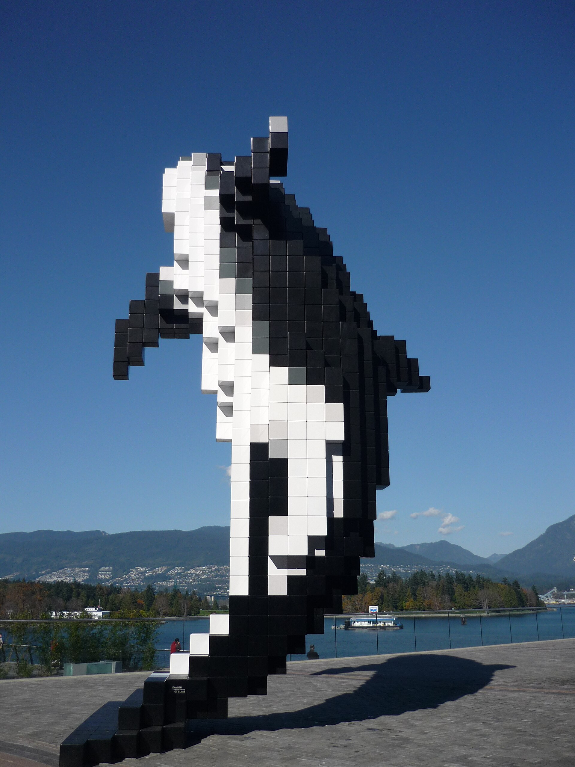 Digital Orca