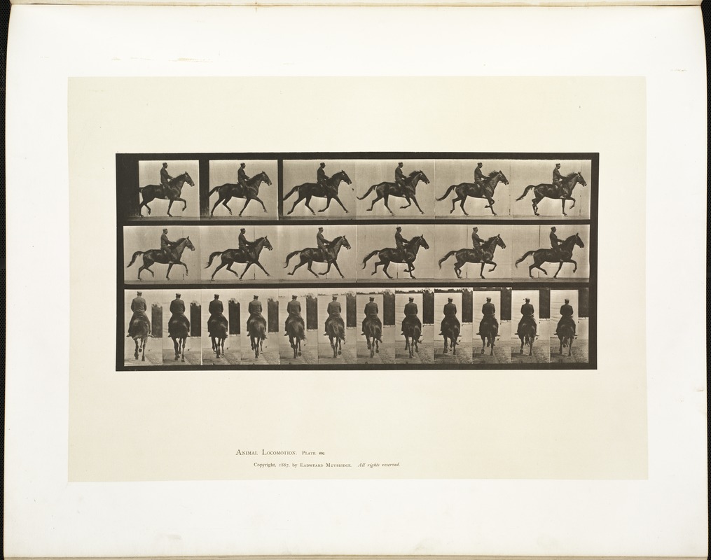 Animal Locomotion, Plate 601, horse trotting, 1887