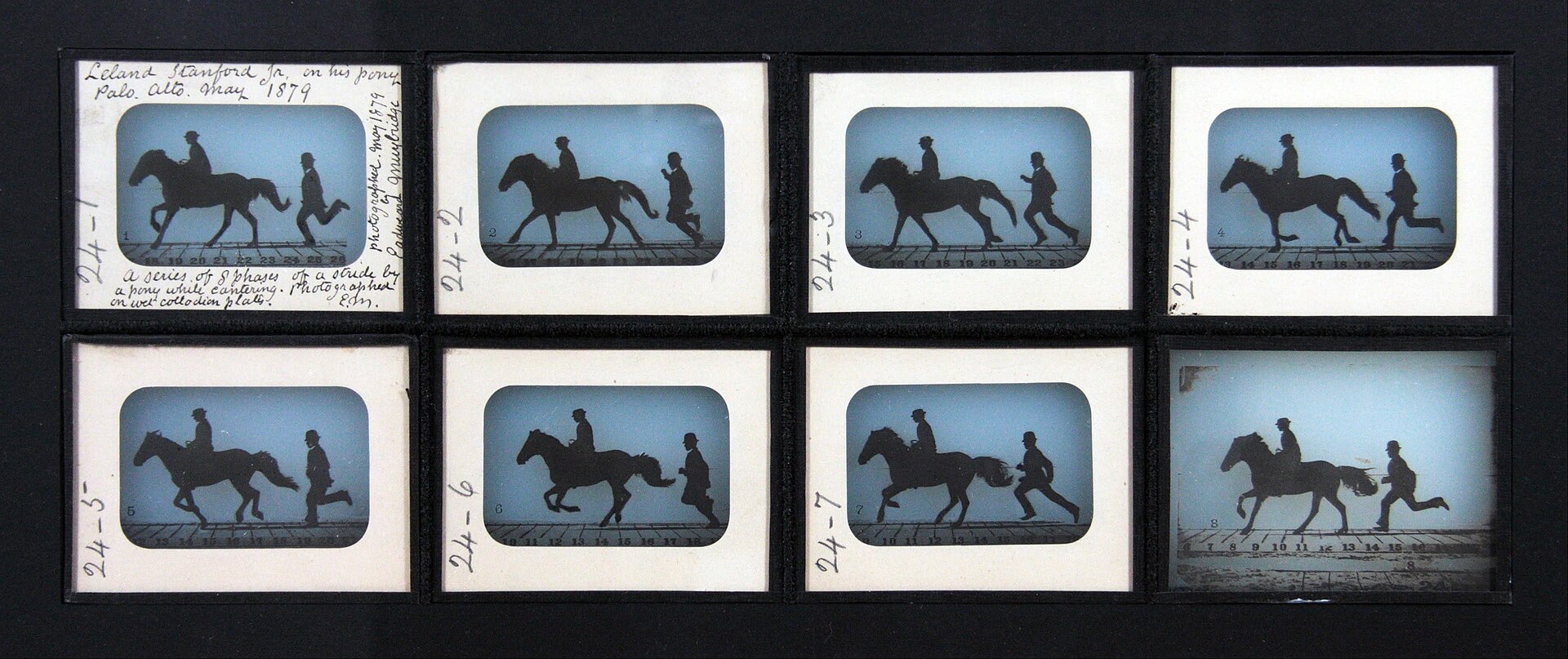 Leland Stanford Jr. on his Pony Gypsy, 1879
