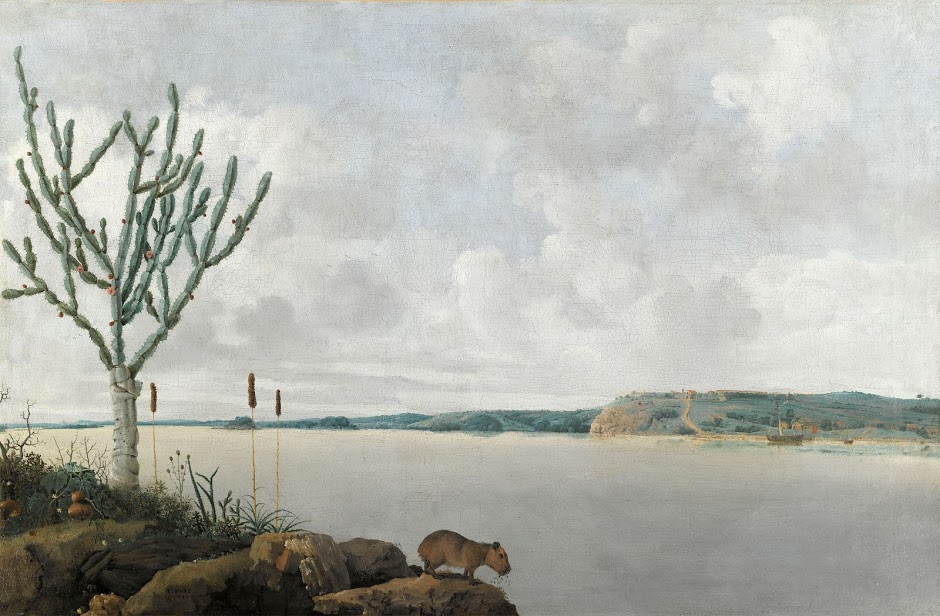 The Rio Sao Francisco and Fort Maurits