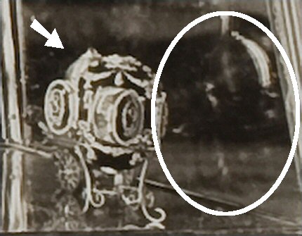 How a lost egg was found in a photograph
