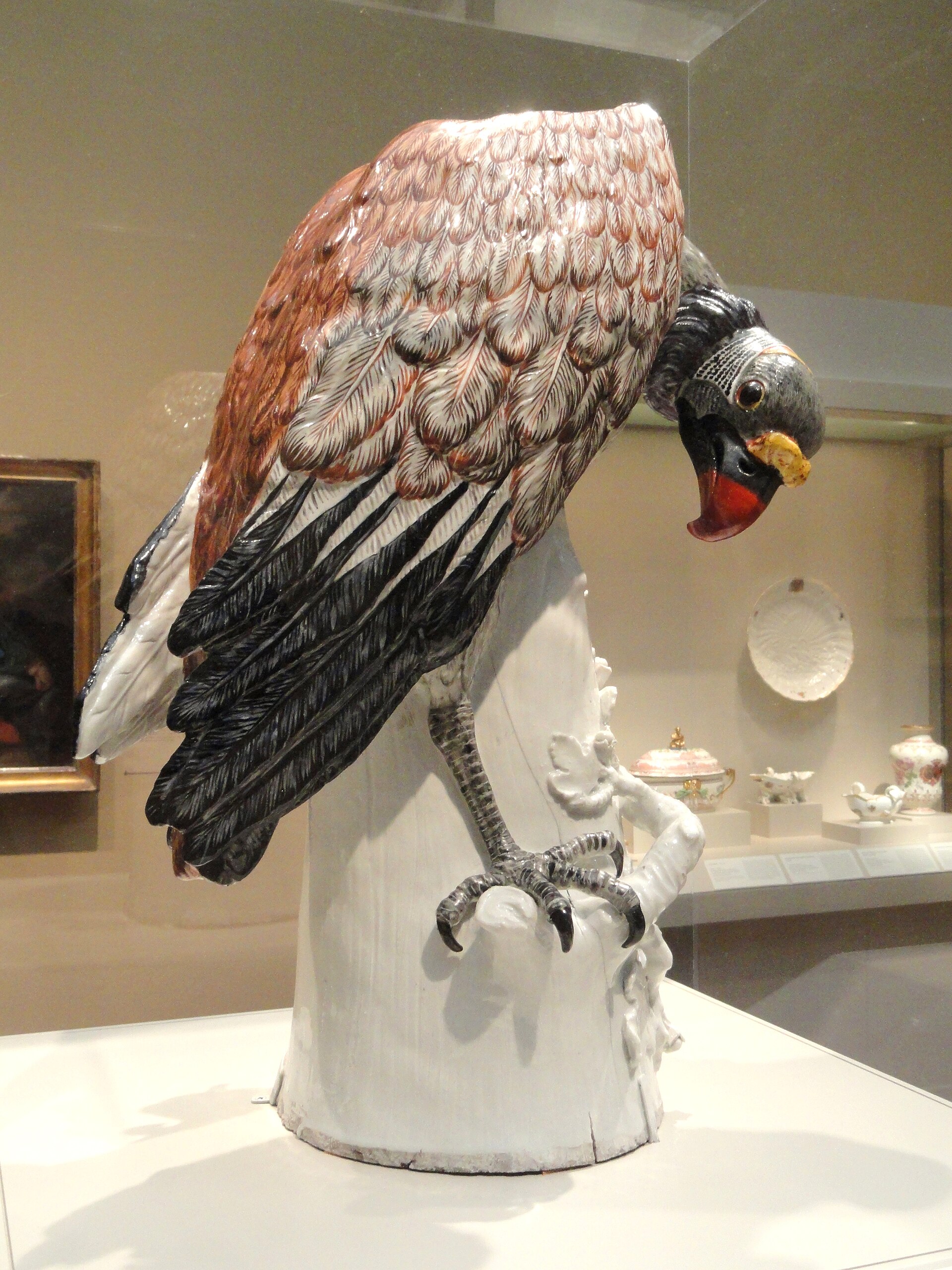King Vulture