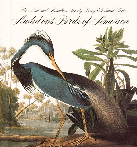 Birds of America, bound volume