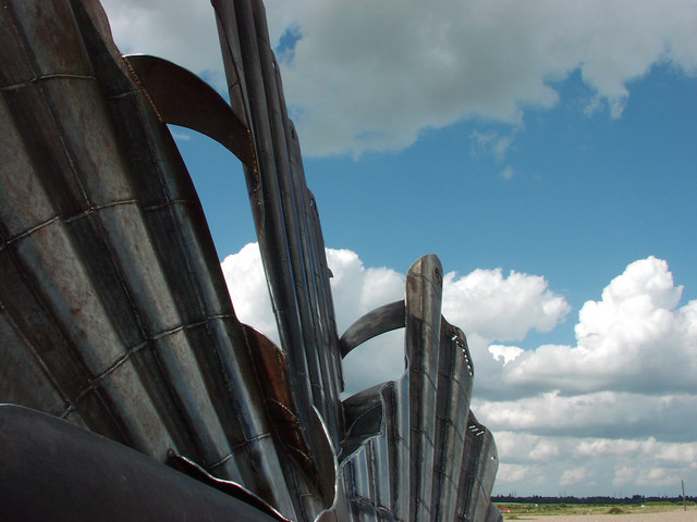 Scallop, Aldeburgh beach, detail