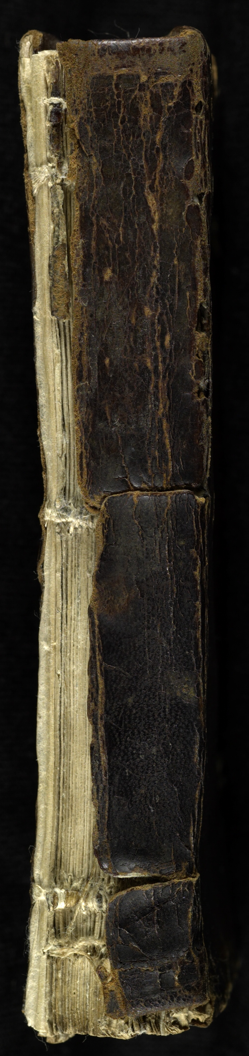 A page of text, the Library of Congress copy
