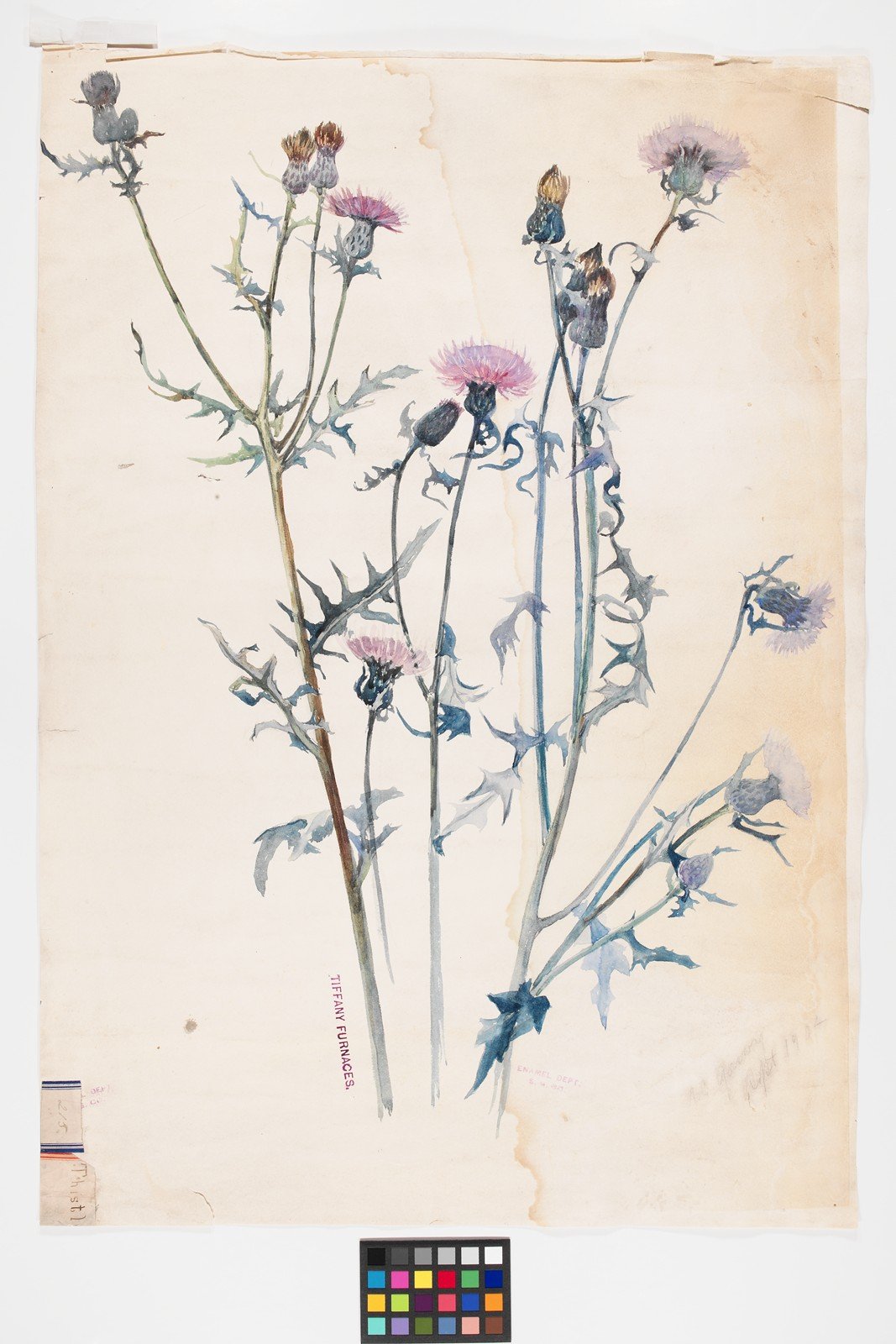 Thistle, 1902, stamped TIFFANY FURNACES