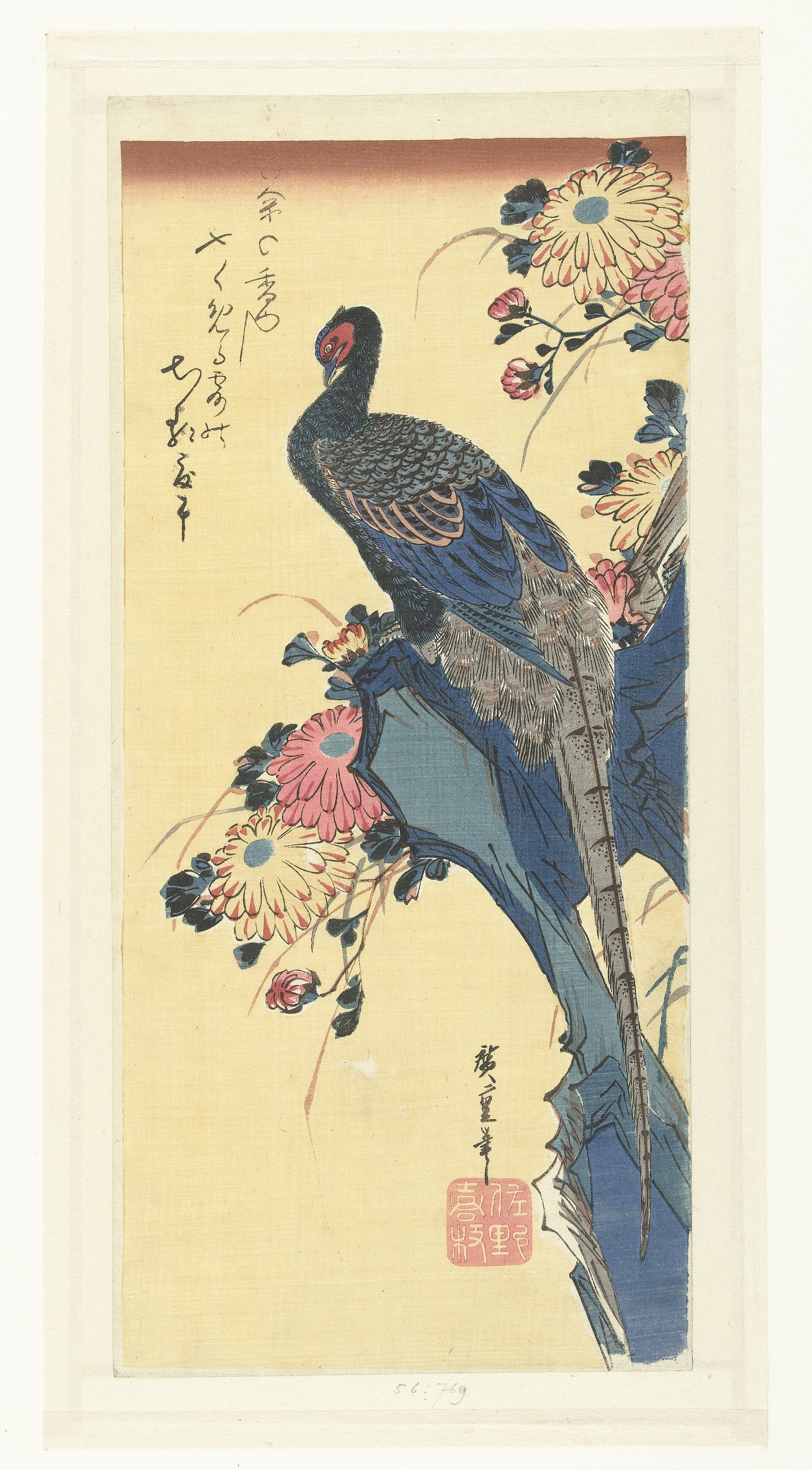 Pheasant and chrysanthemums
