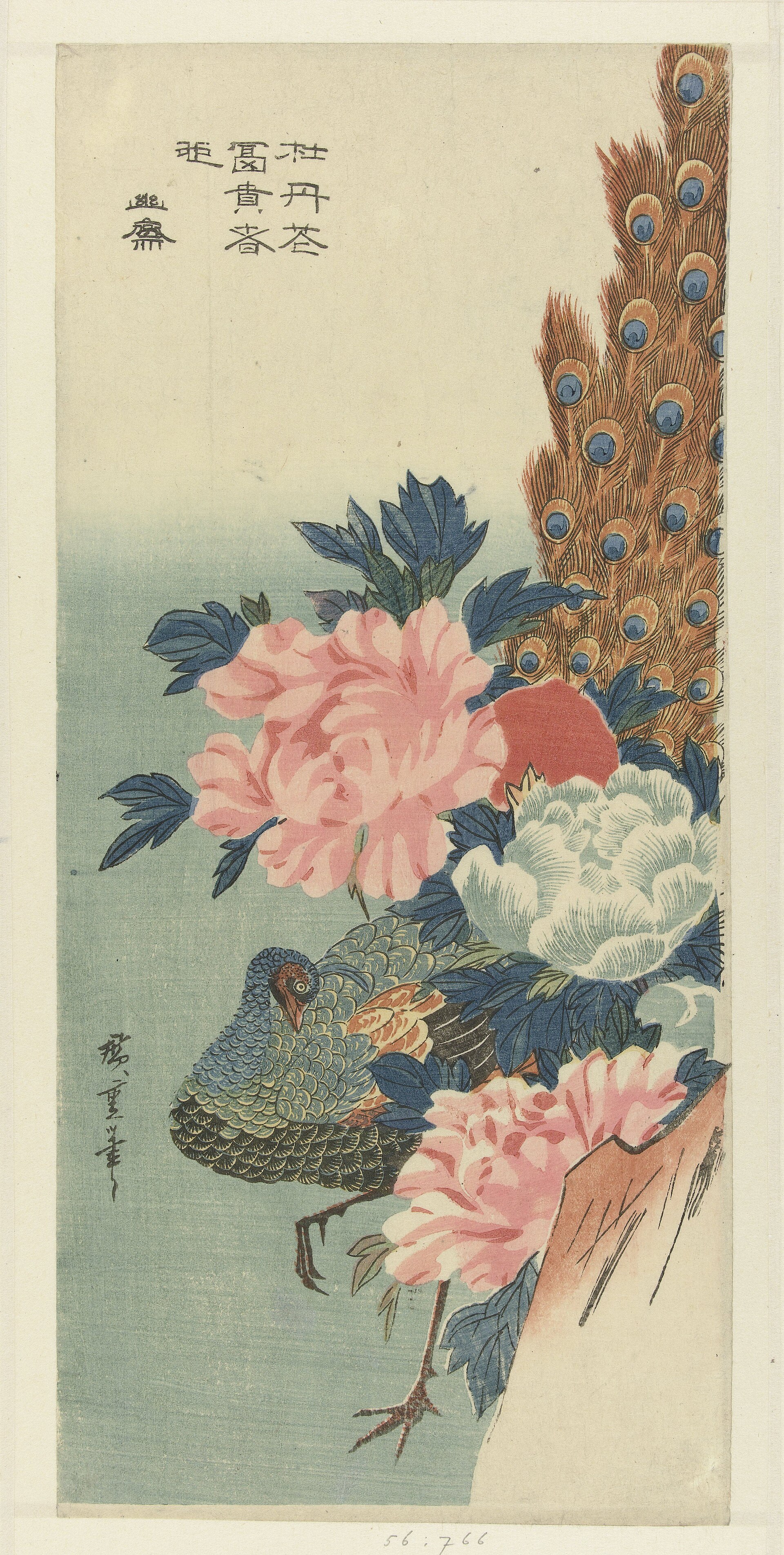 Peacock and peonies