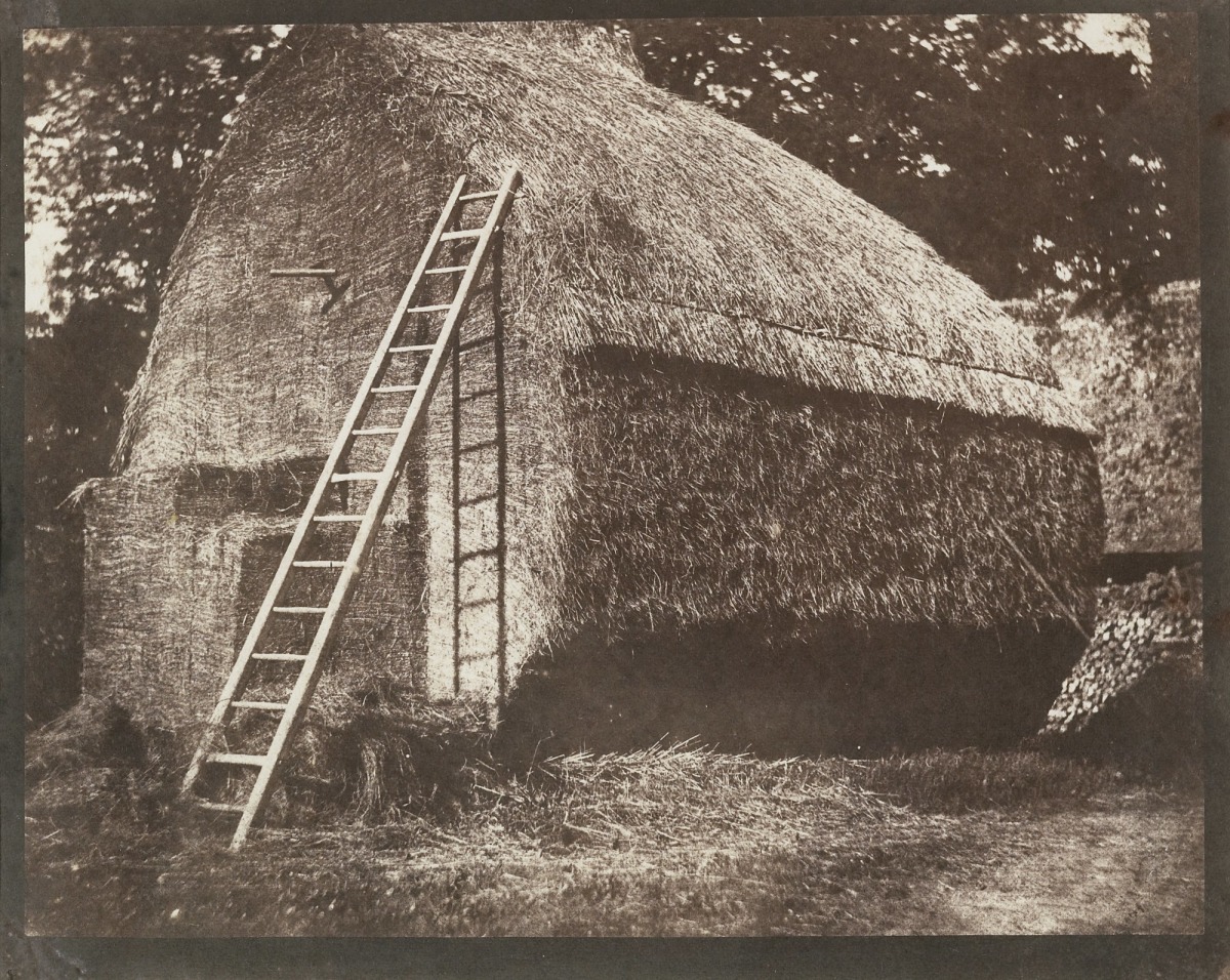 The Haystack
