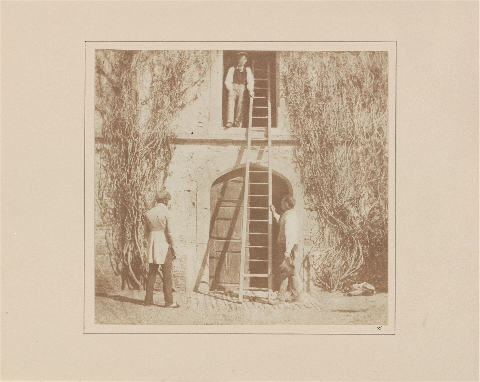 The Ladder
