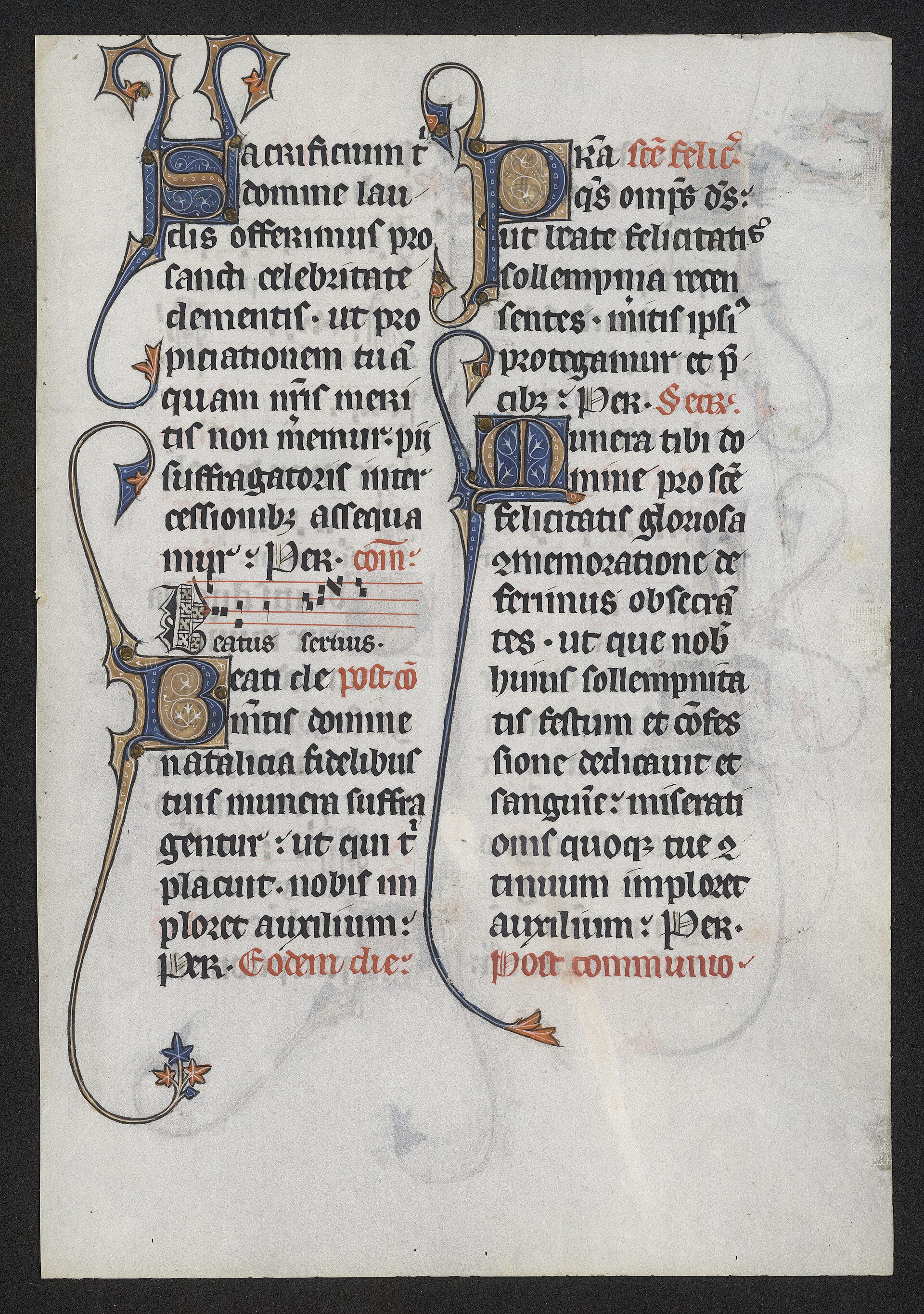 The same leaf, verso