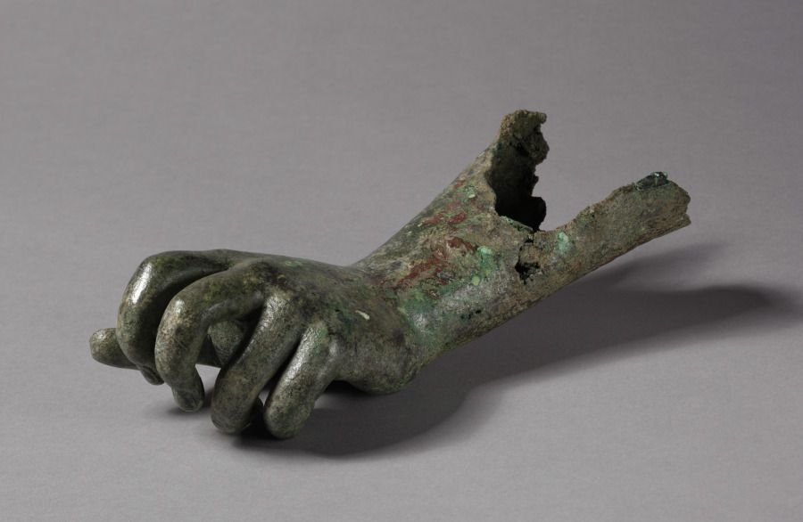 Detached left forearm and hand