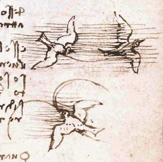 Codex on the Flight of Birds, folio 6 recto