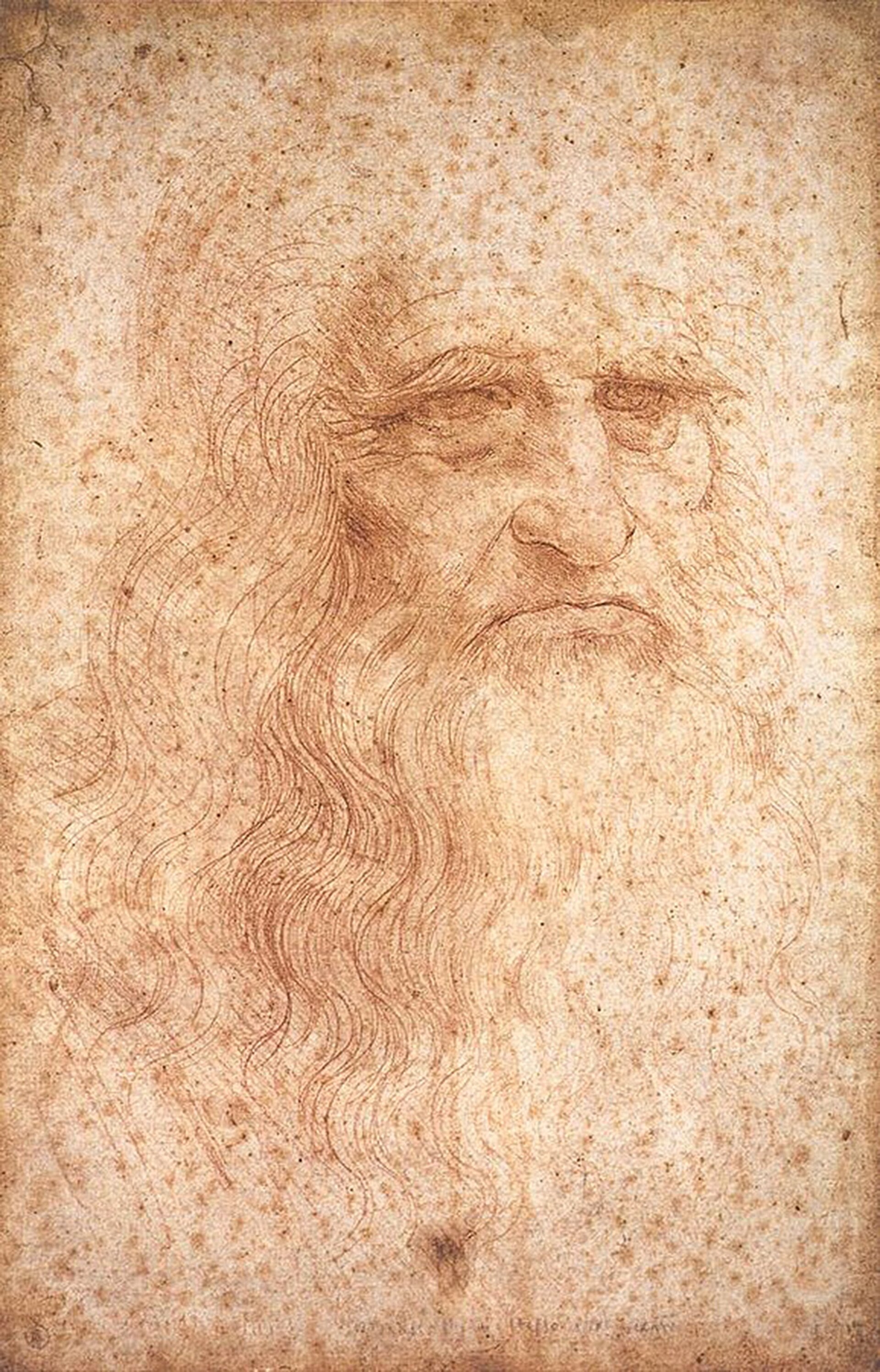 Head of a Bearded Man, called the self-portrait of Leonardo
