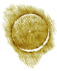 The earthshine diagram