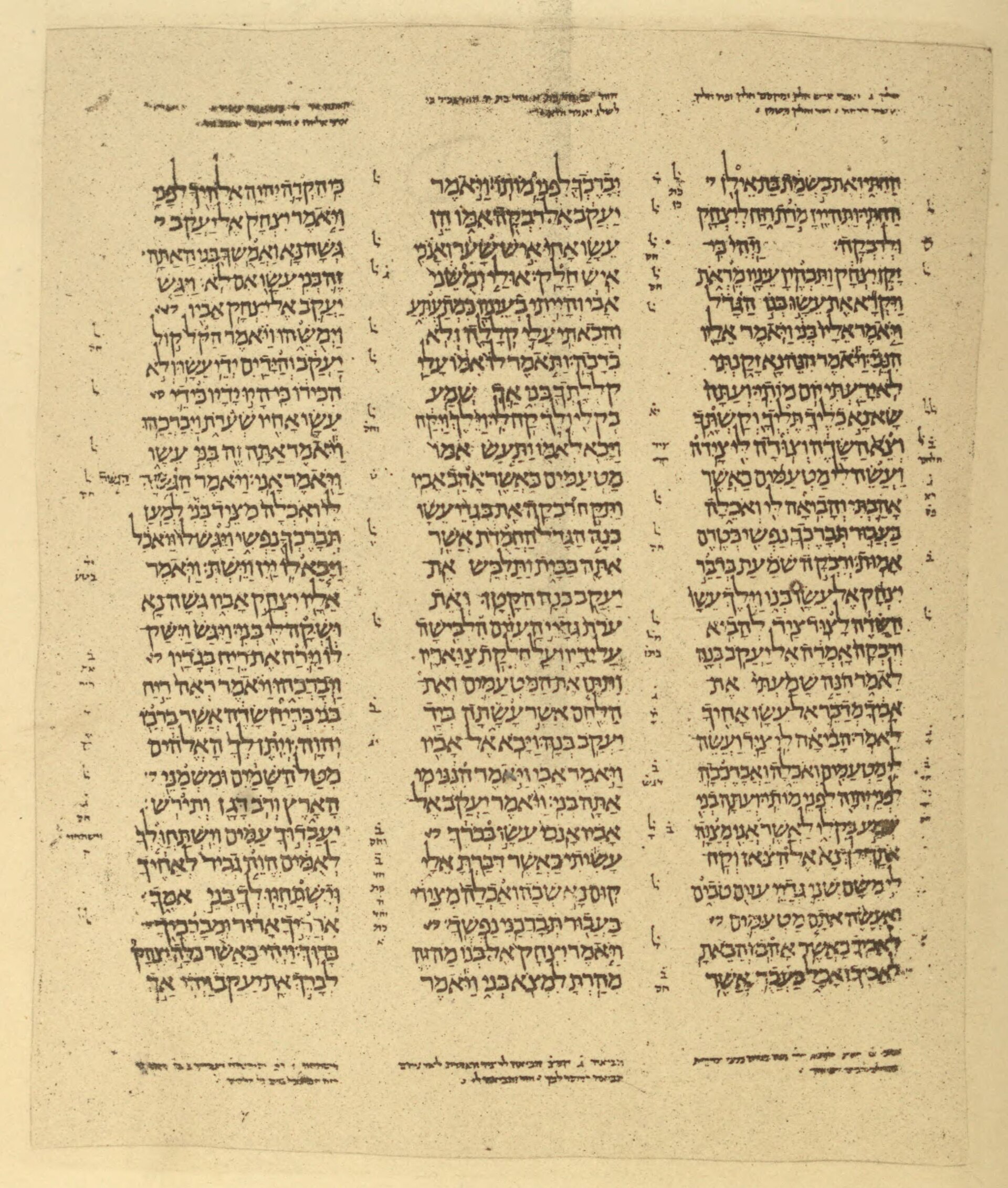 The Aleppo Codex, Genesis