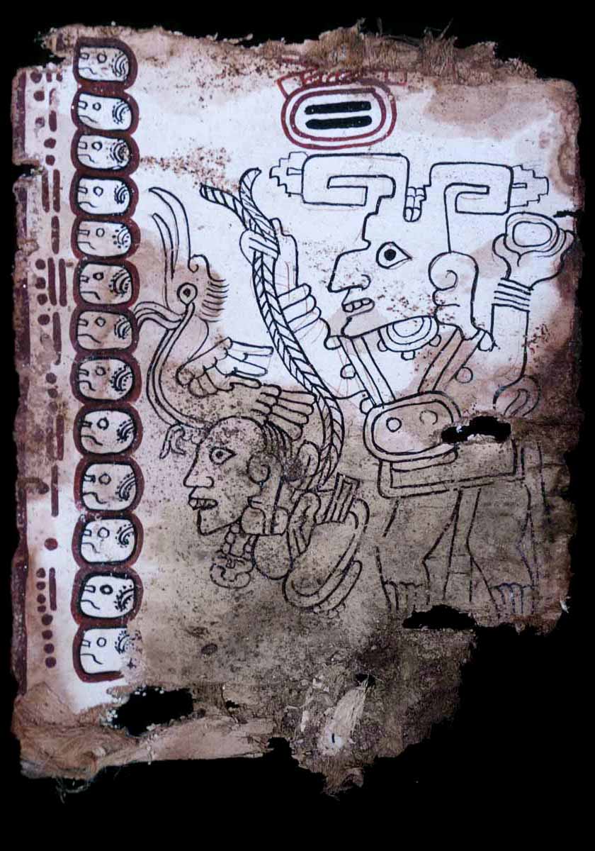 Codice Maya de Mexico, page 9