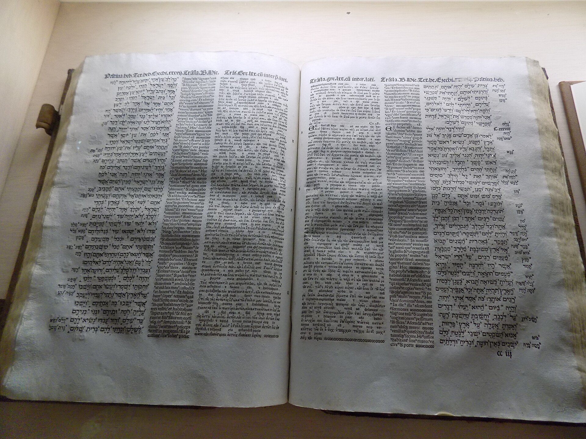 Complutensian Polyglot Bible, Siguenza Cathedral copy