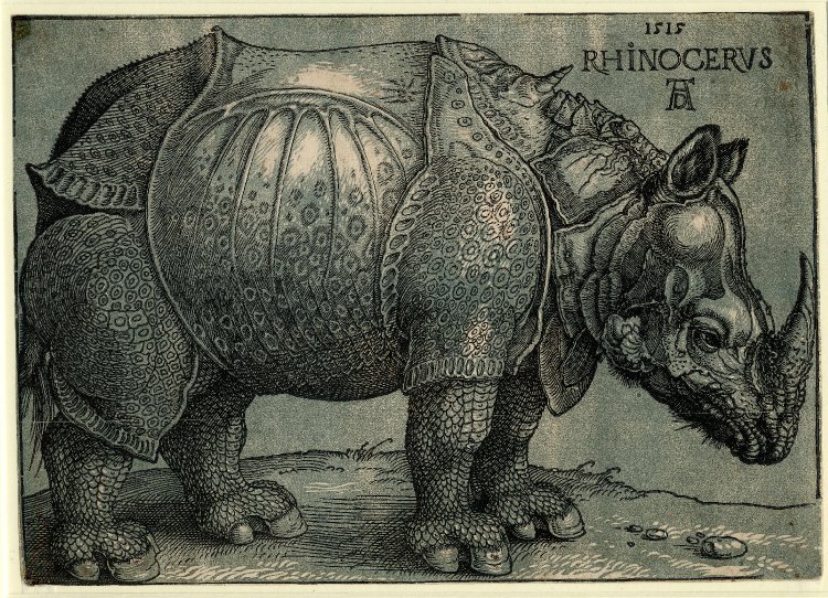 The Rhinoceros, seventh edition, chiaroscuro