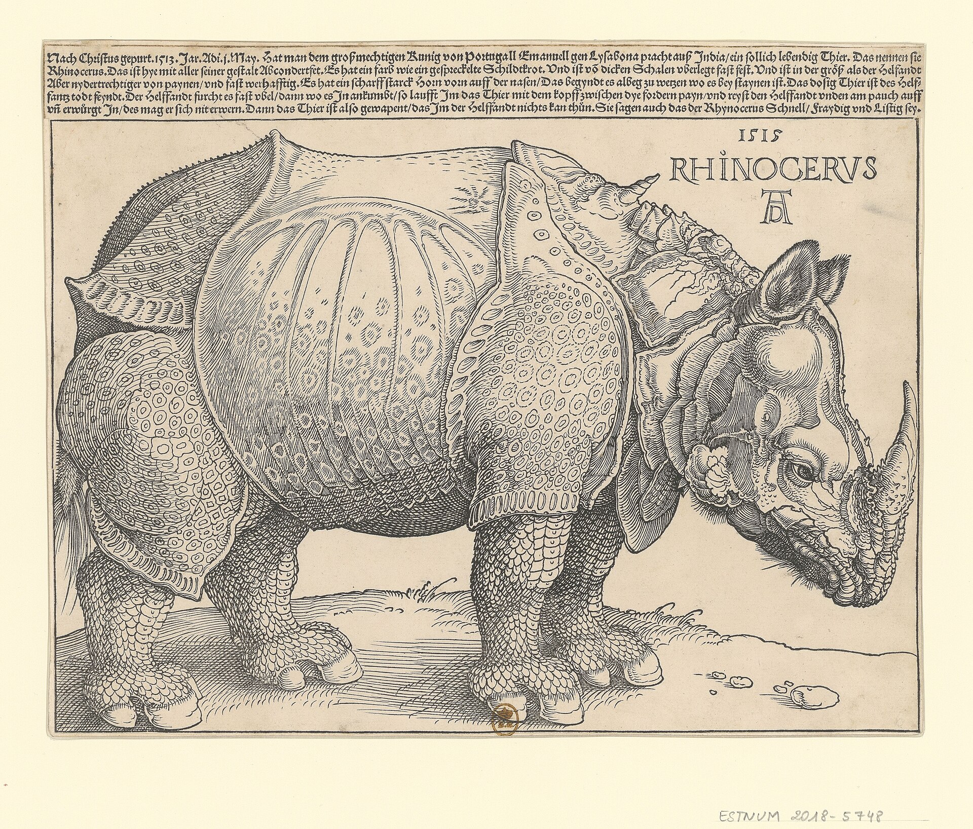 The Rhinoceros, first edition, 1515