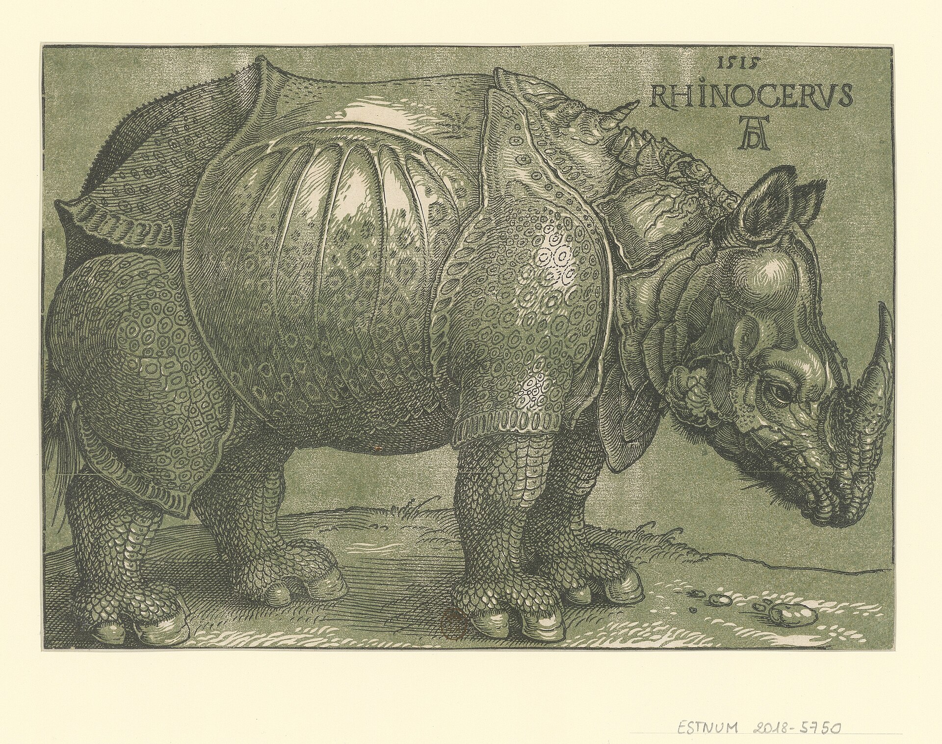 The Rhinoceros, sixth edition, a different sheet