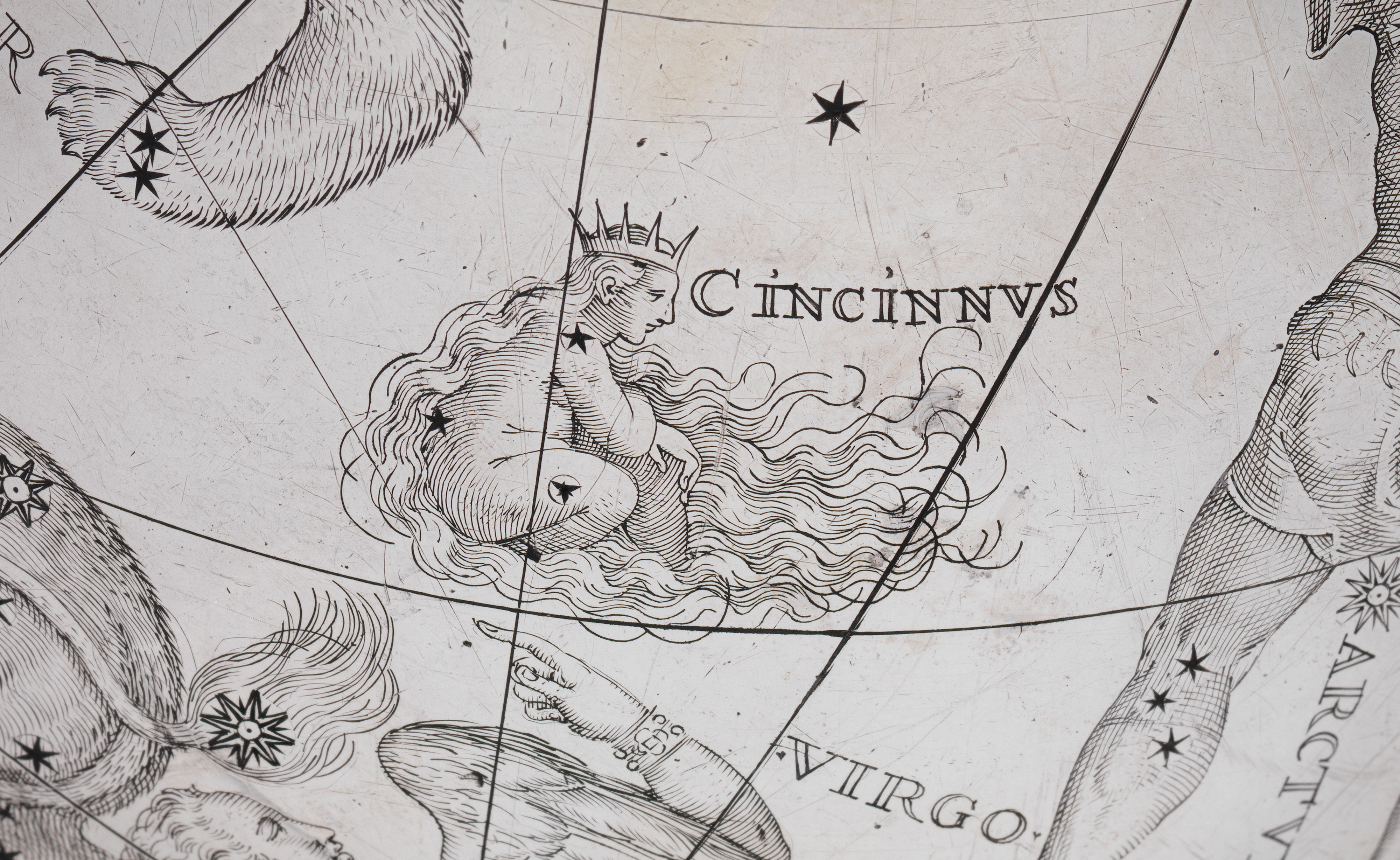 The constellation Cincinnus, detail