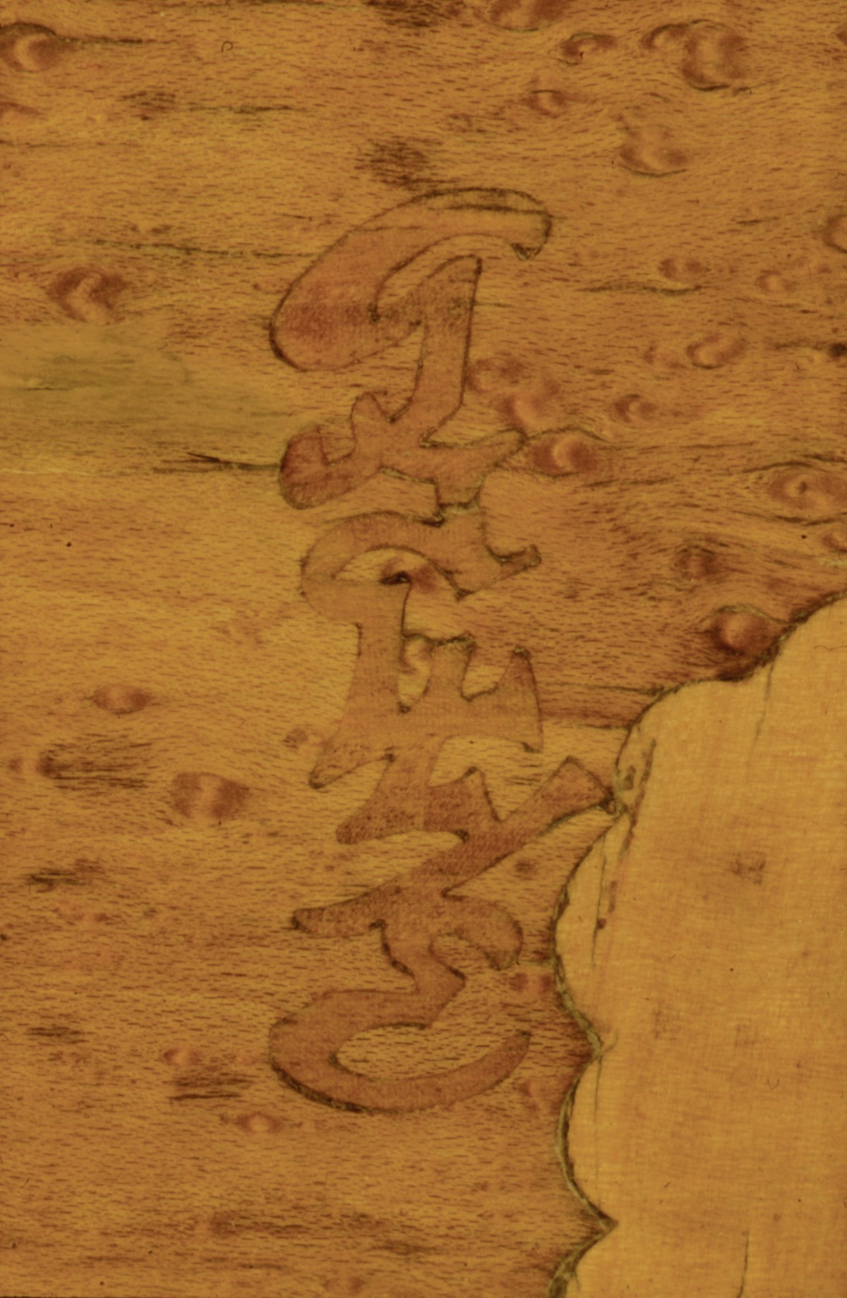 "Ombelliferes" (cow parsley) Cabinet, alternate view