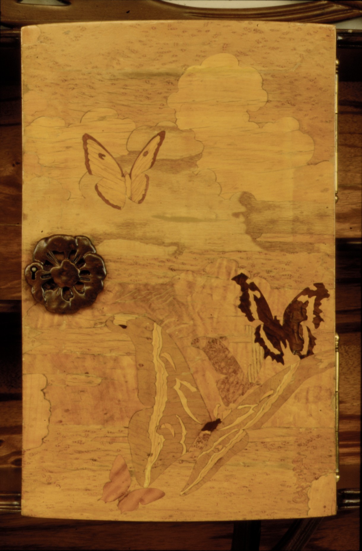"Ombelliferes" (cow parsley) Cabinet, alternate view