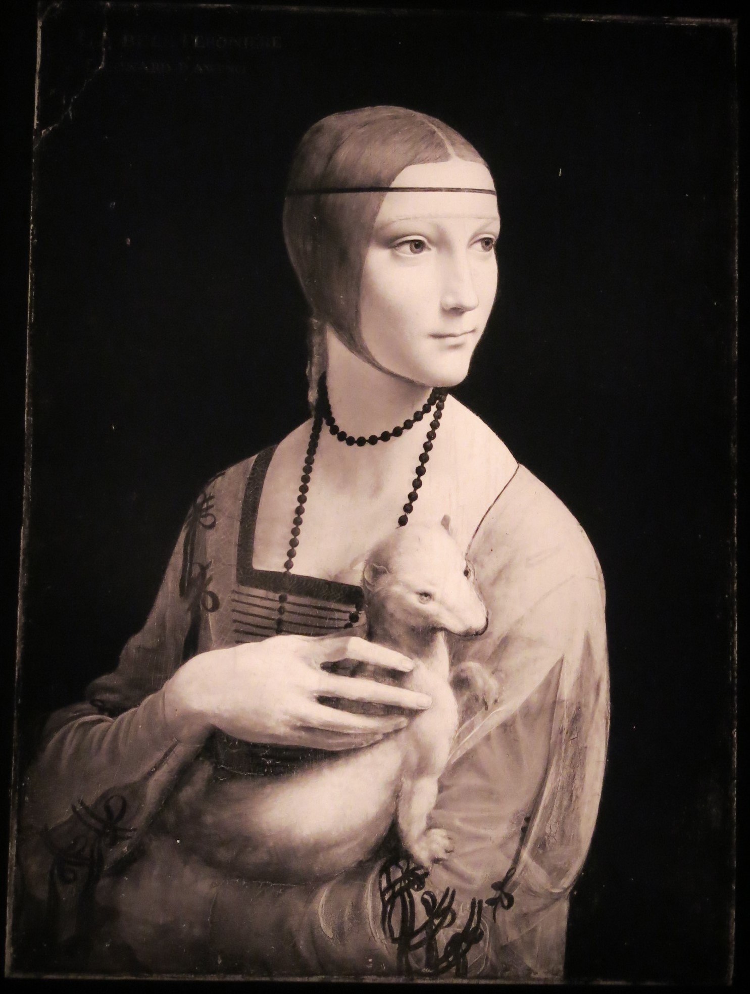 Infrared reflectograms of the picture