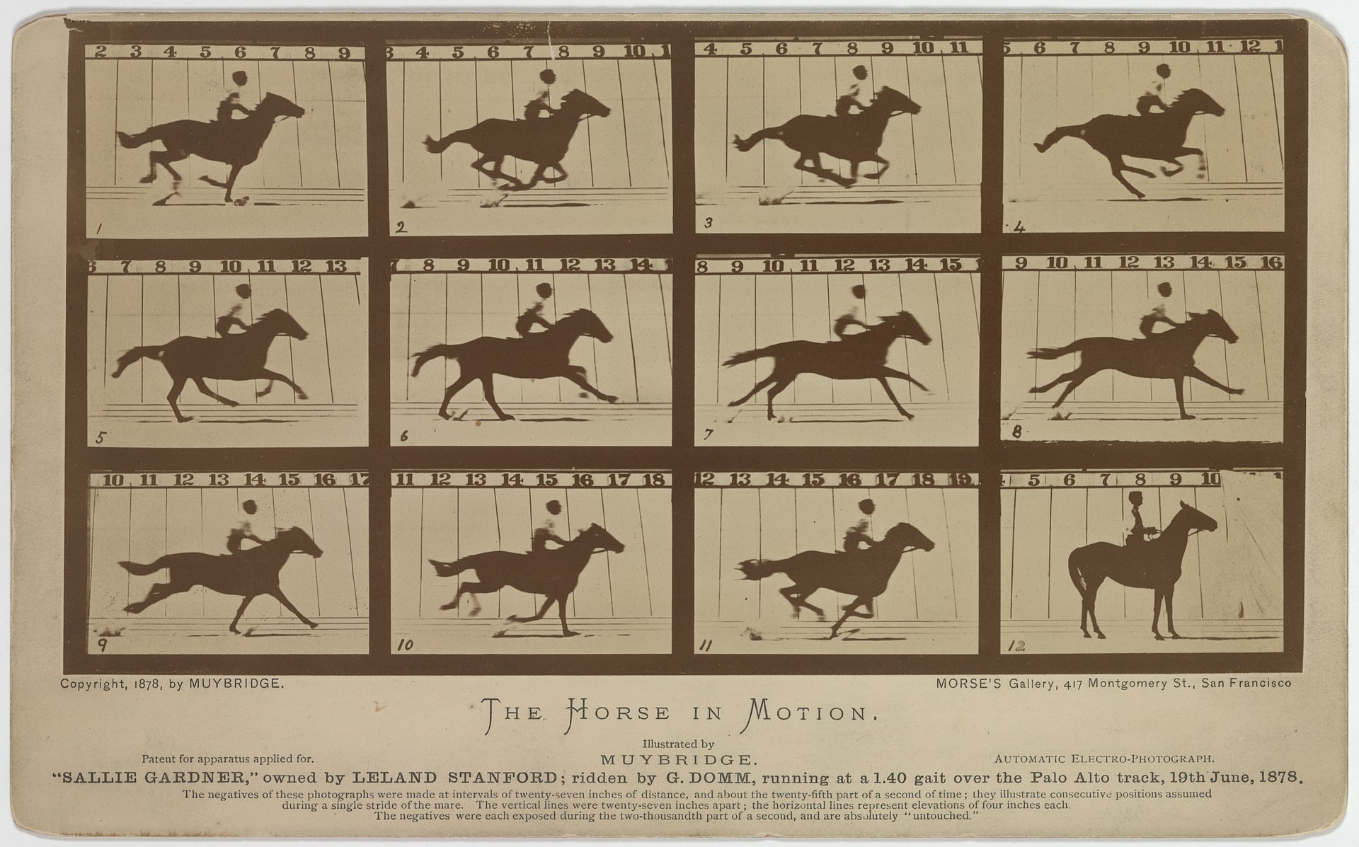 Sallie Gardner at a Gallop