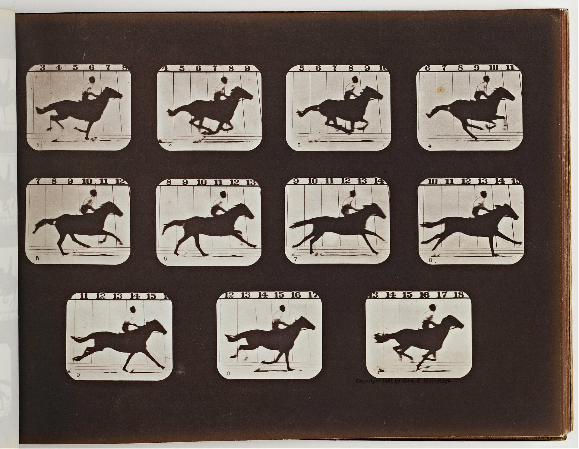 Sallie Gardner Running, from The Attitudes of Animals in Motion
