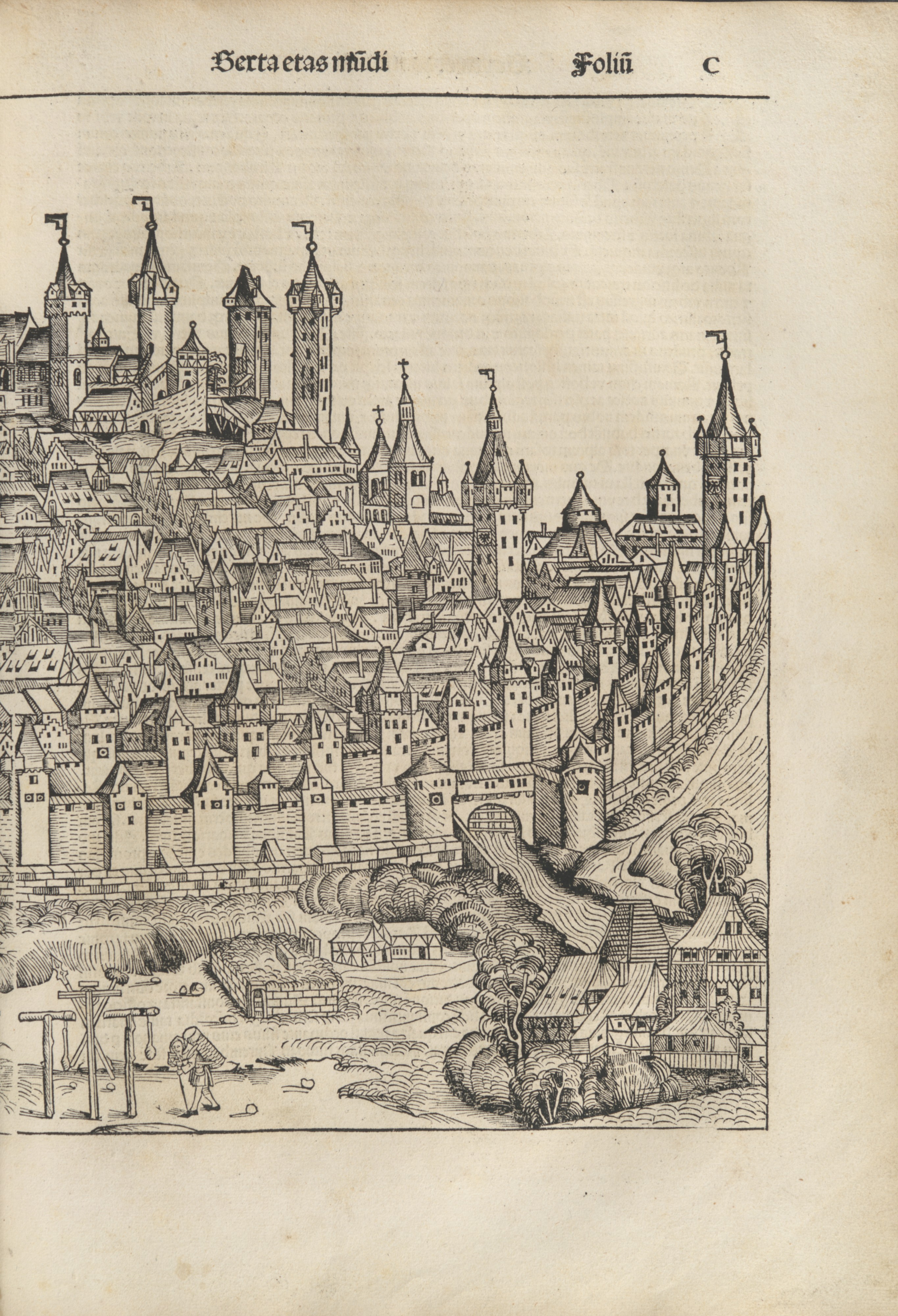 Detail of the Nuremberg view