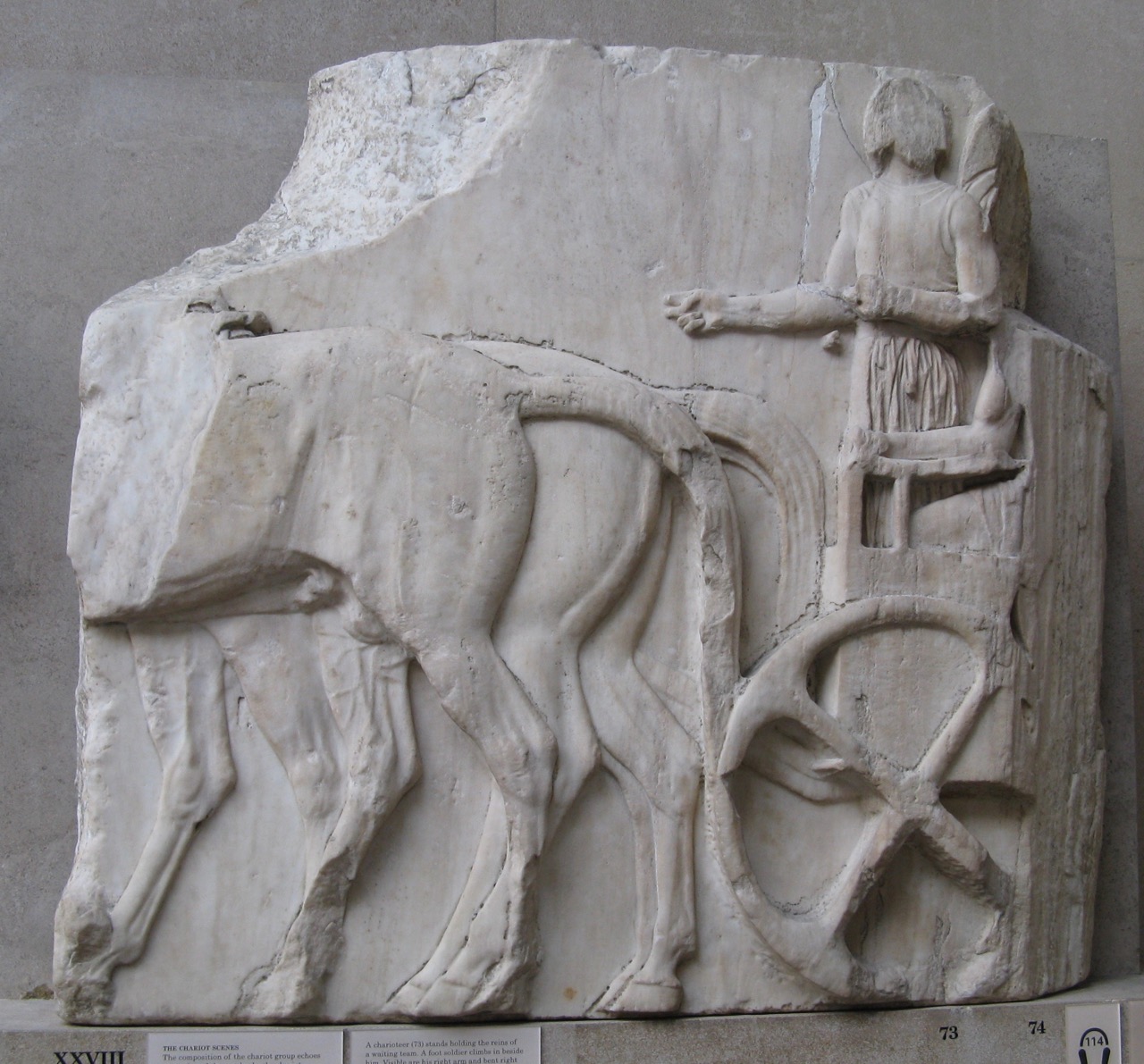Charioteer scenes, north frieze
