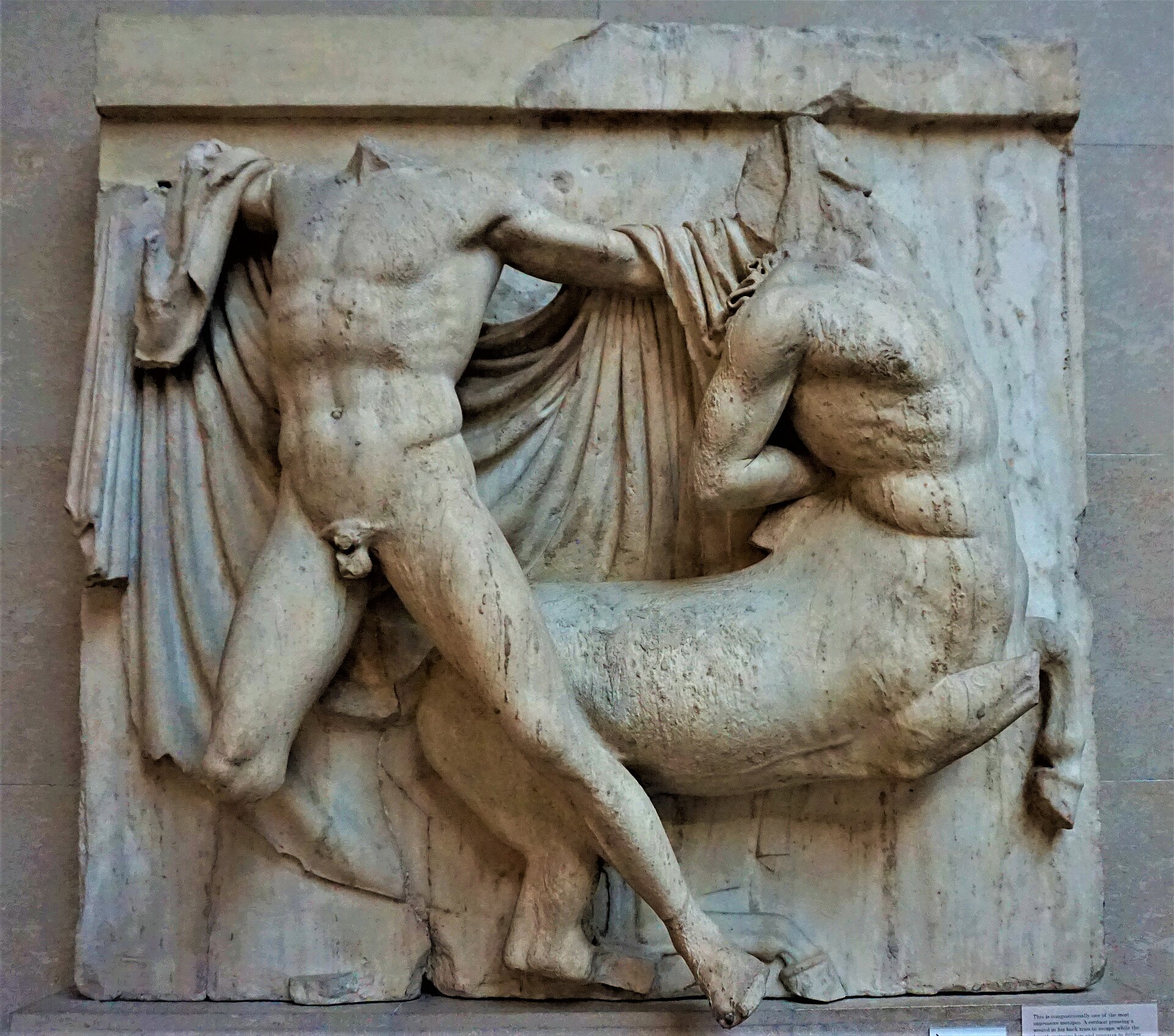 South metopes: Centaur and Lapith
