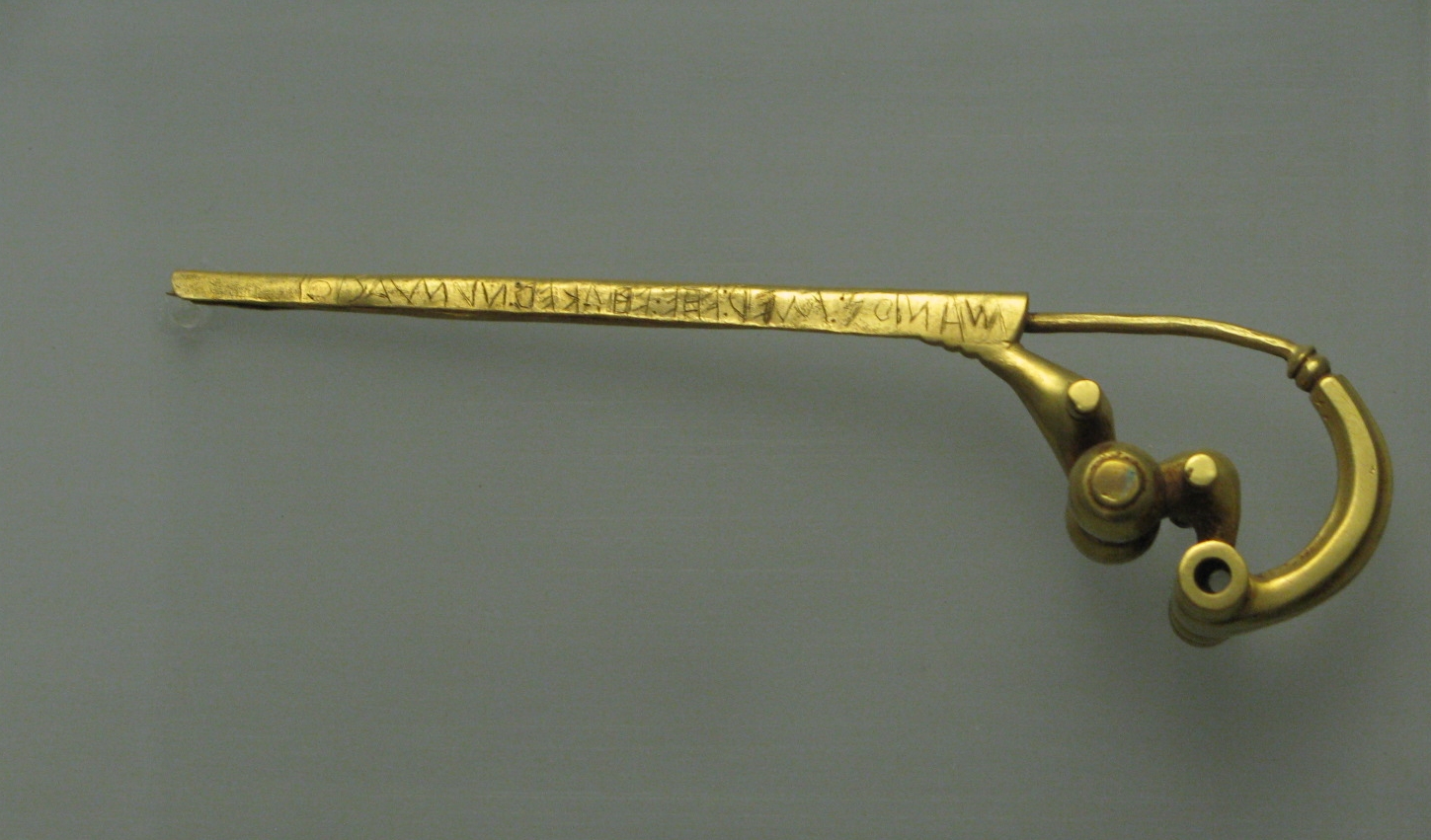 The fibula, alternate view