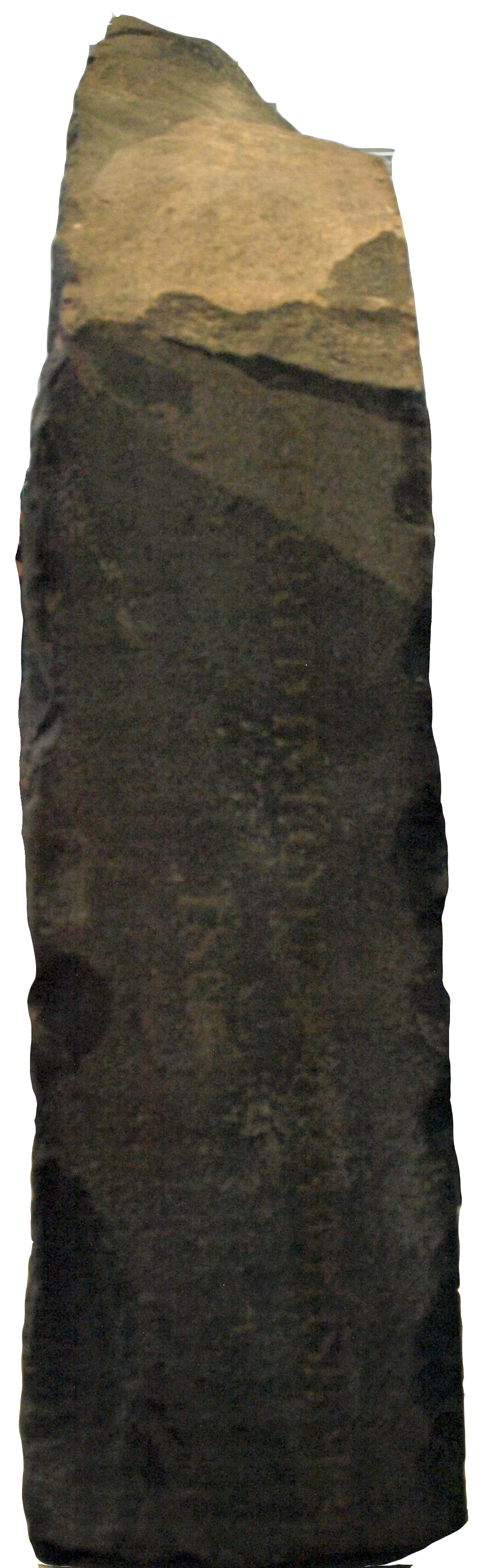 Detail, hieroglyphic and Demotic registers