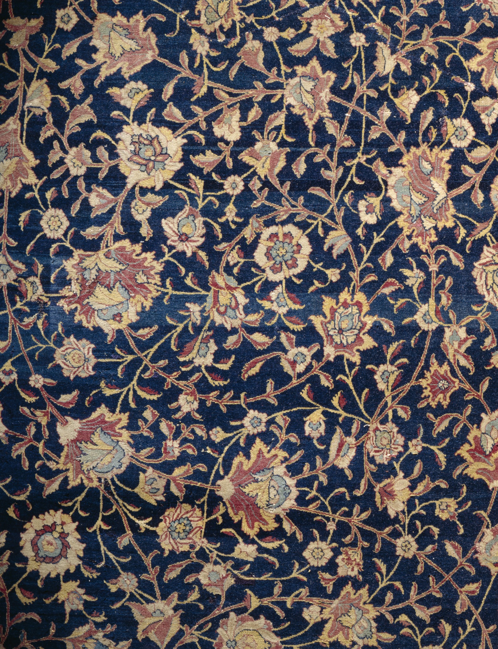 The twin: field detail