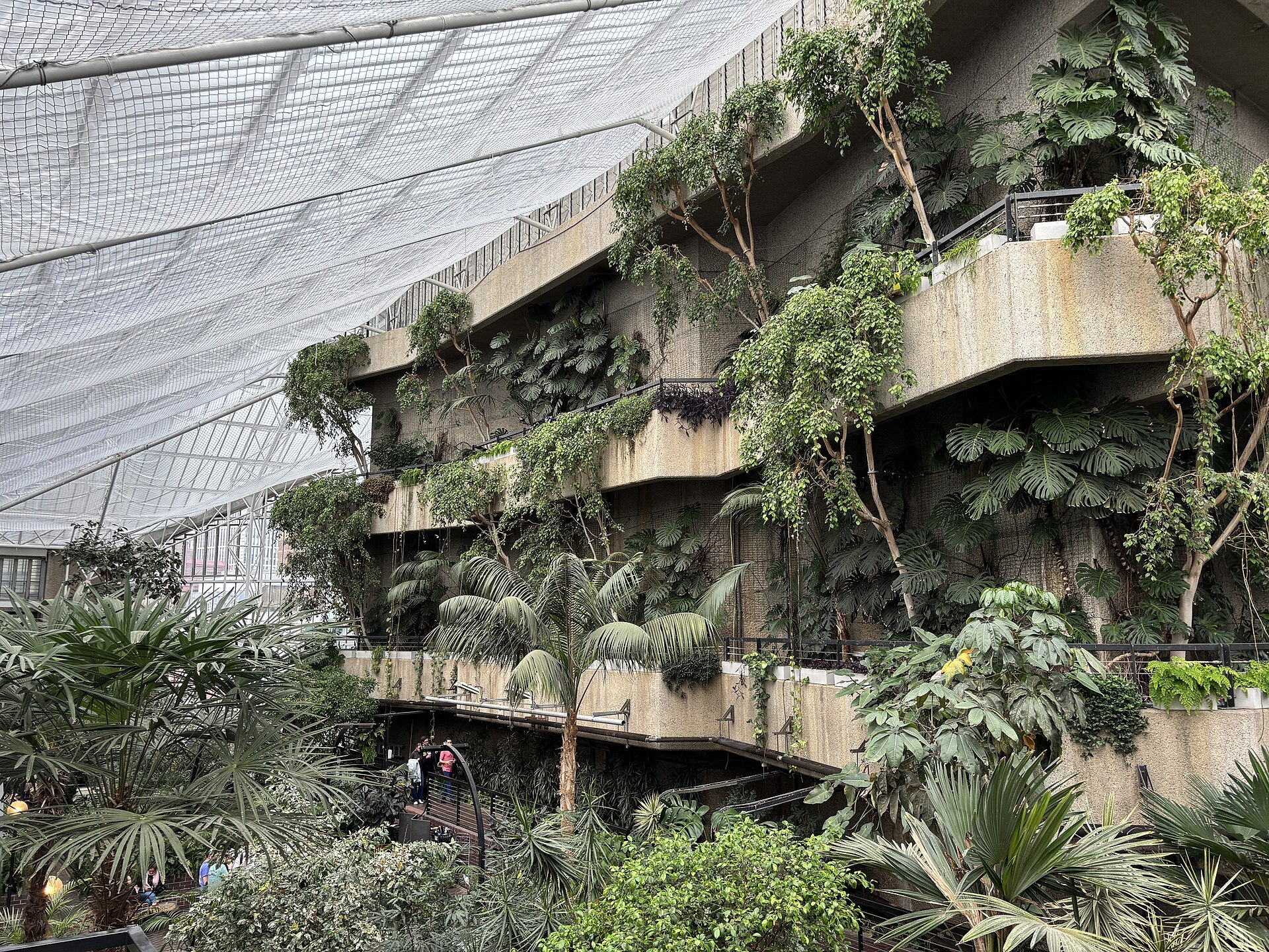 Tiered concrete walkways planted with tropical foliage inside the Barbican Conservatory
