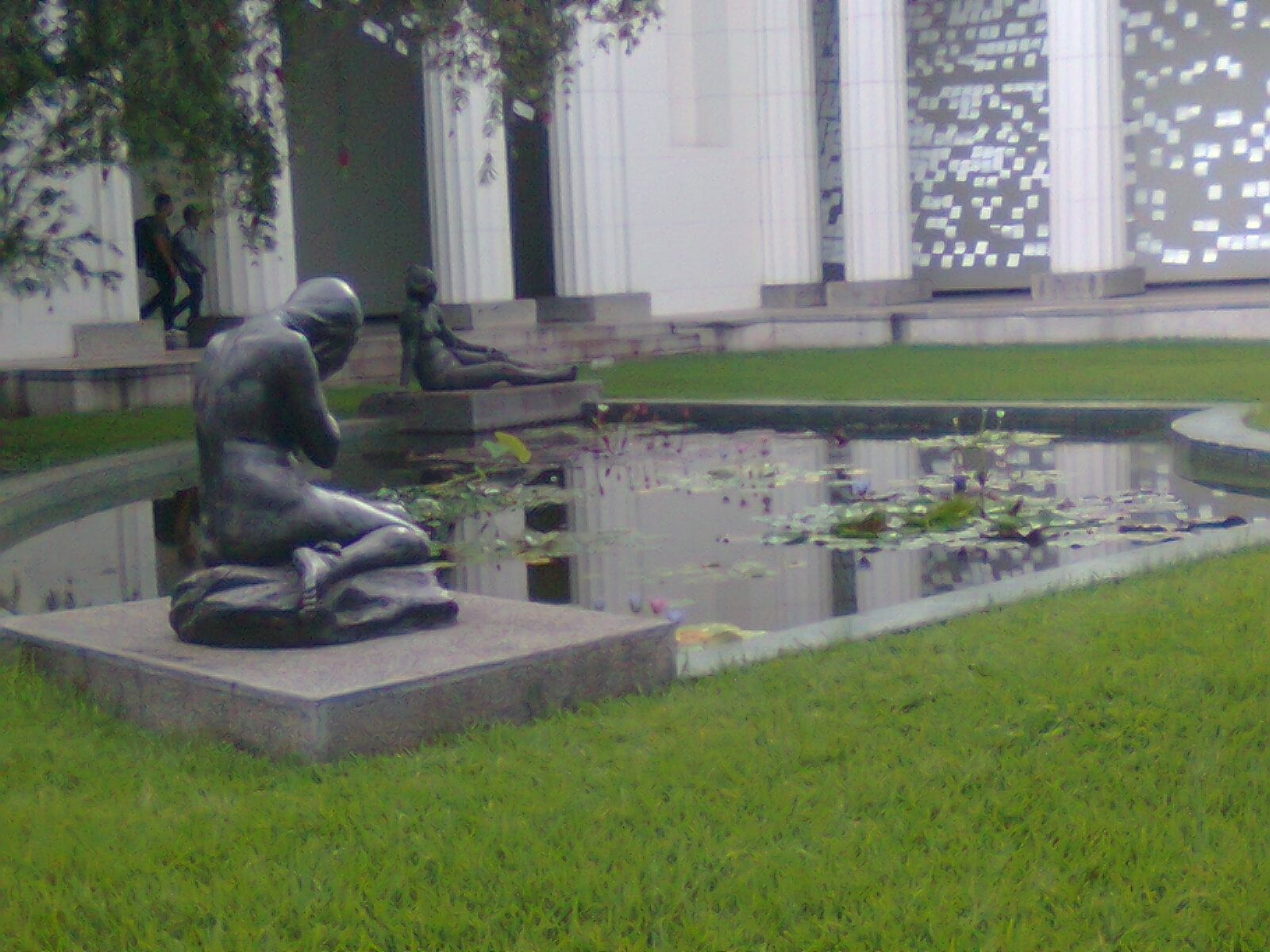Courtyard garden with reflecting pool