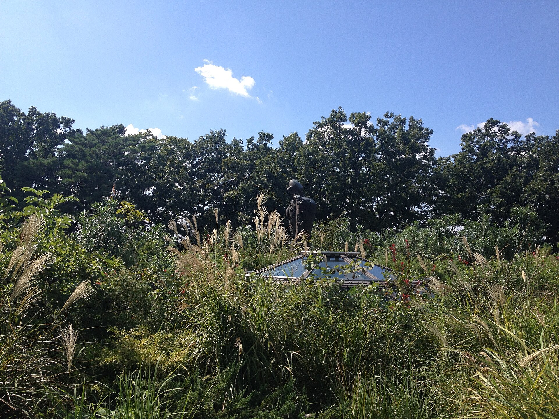 The rooftop garden