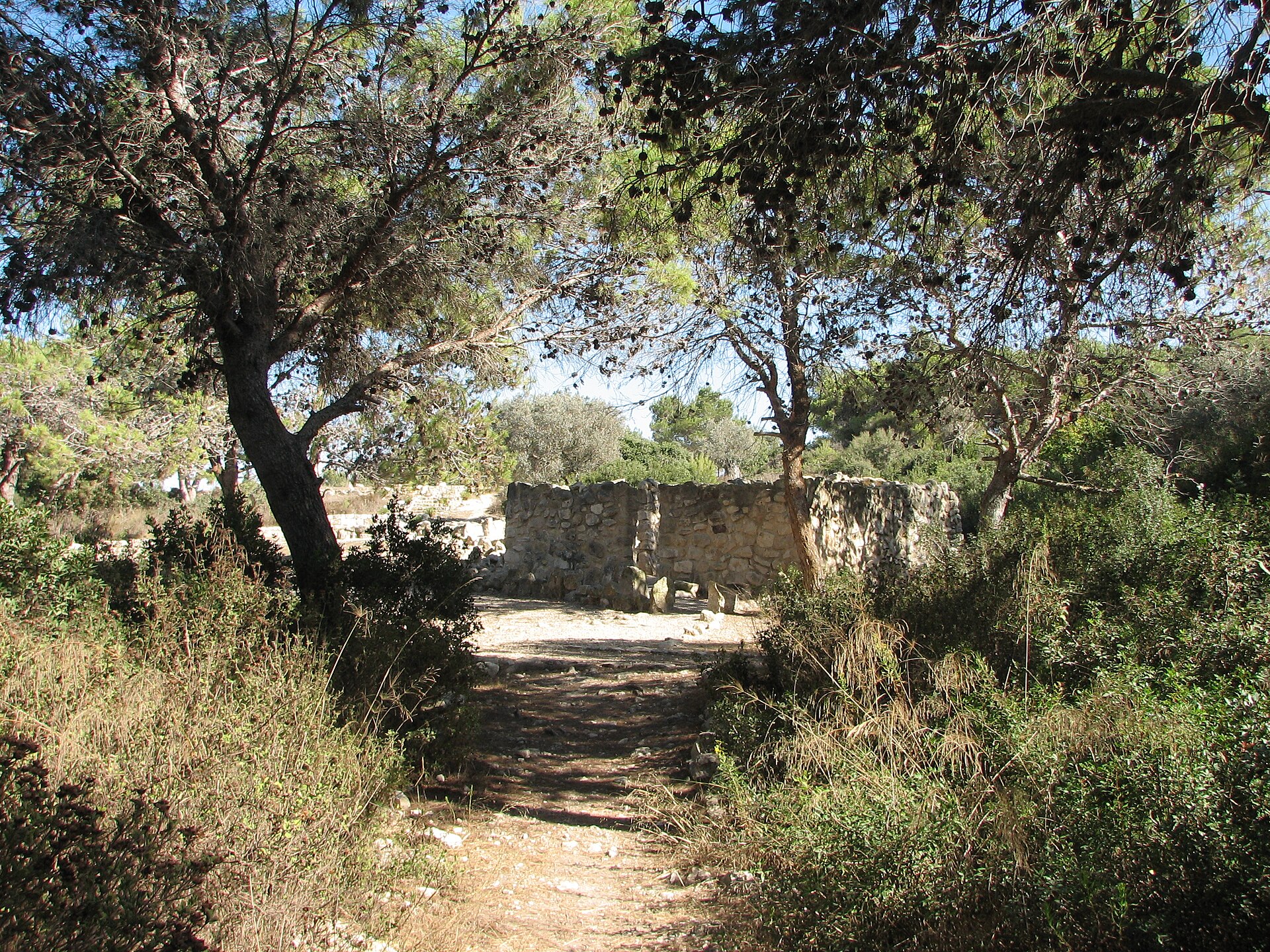 A reconstructed drystone structure from the Derech Hadorot open-air archaeological park at the Hecht Museum, seen through pine trees along a dirt path