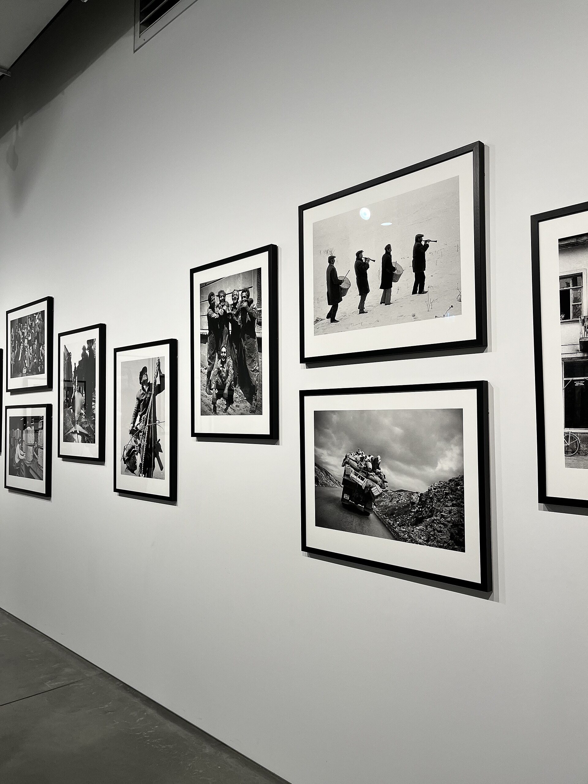 A gallery wall hung with a row of framed black-and-white photographs under track lighting